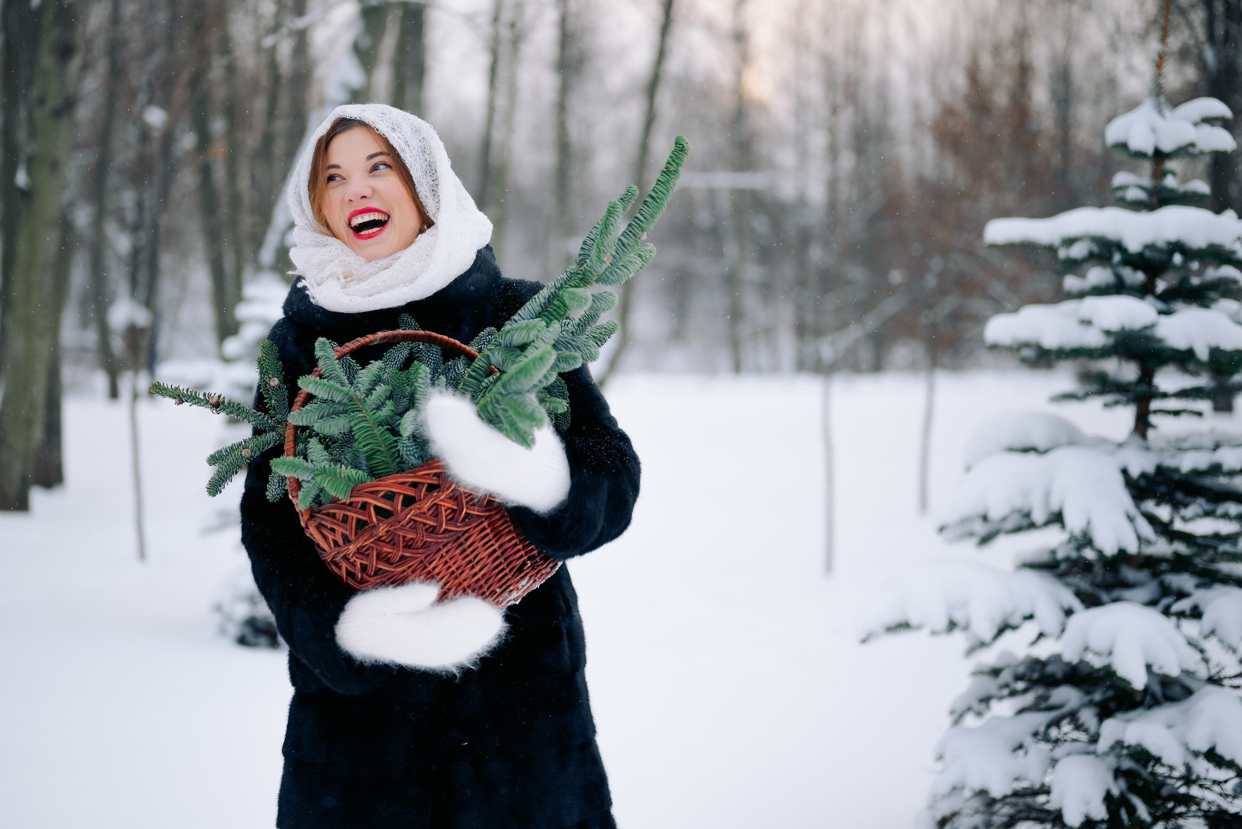 Звенит январская вьюга. Дарья Медведева