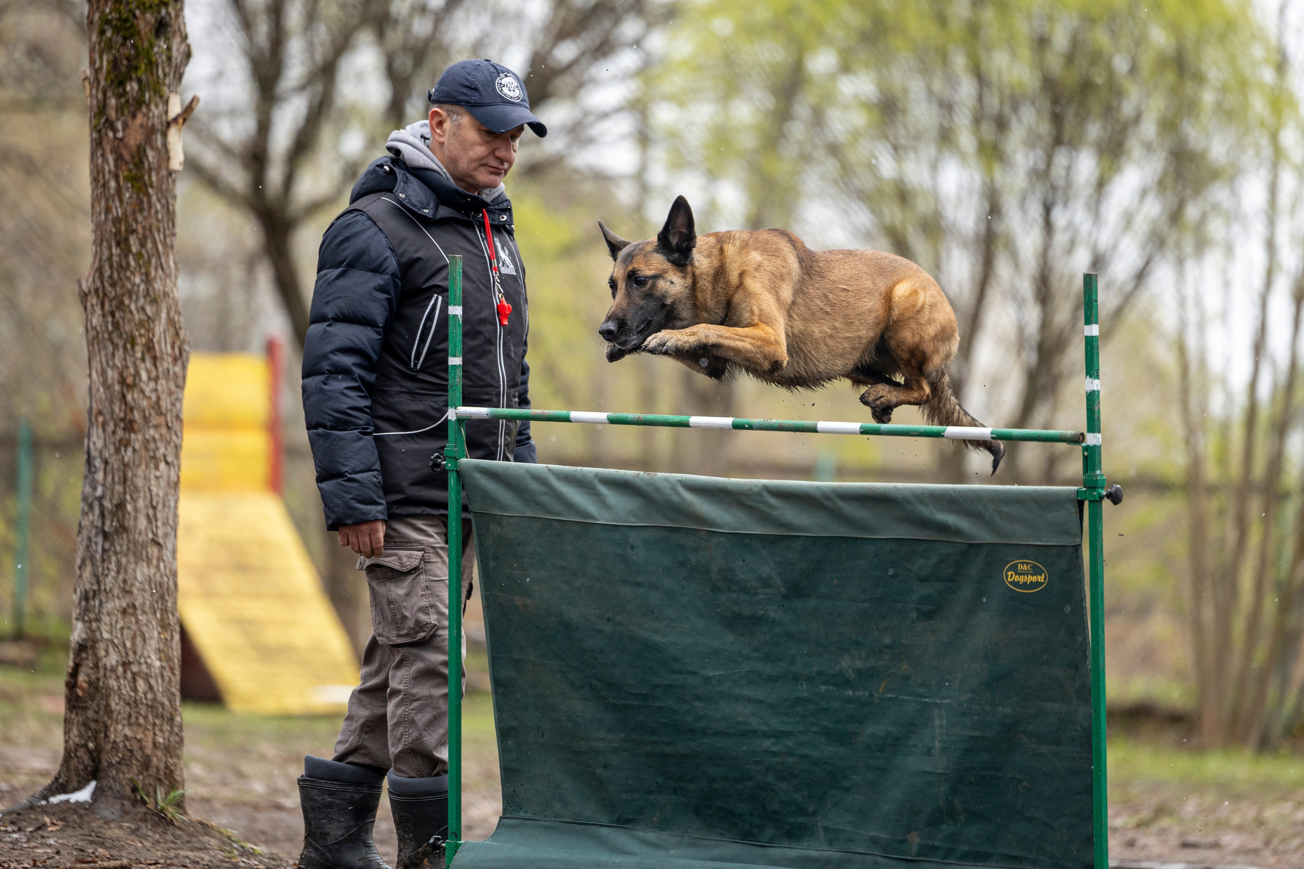 Квалификационные состязания по мондьорингу г. Вологда 11.05.24. Фотограф-анималист Анна Маринич