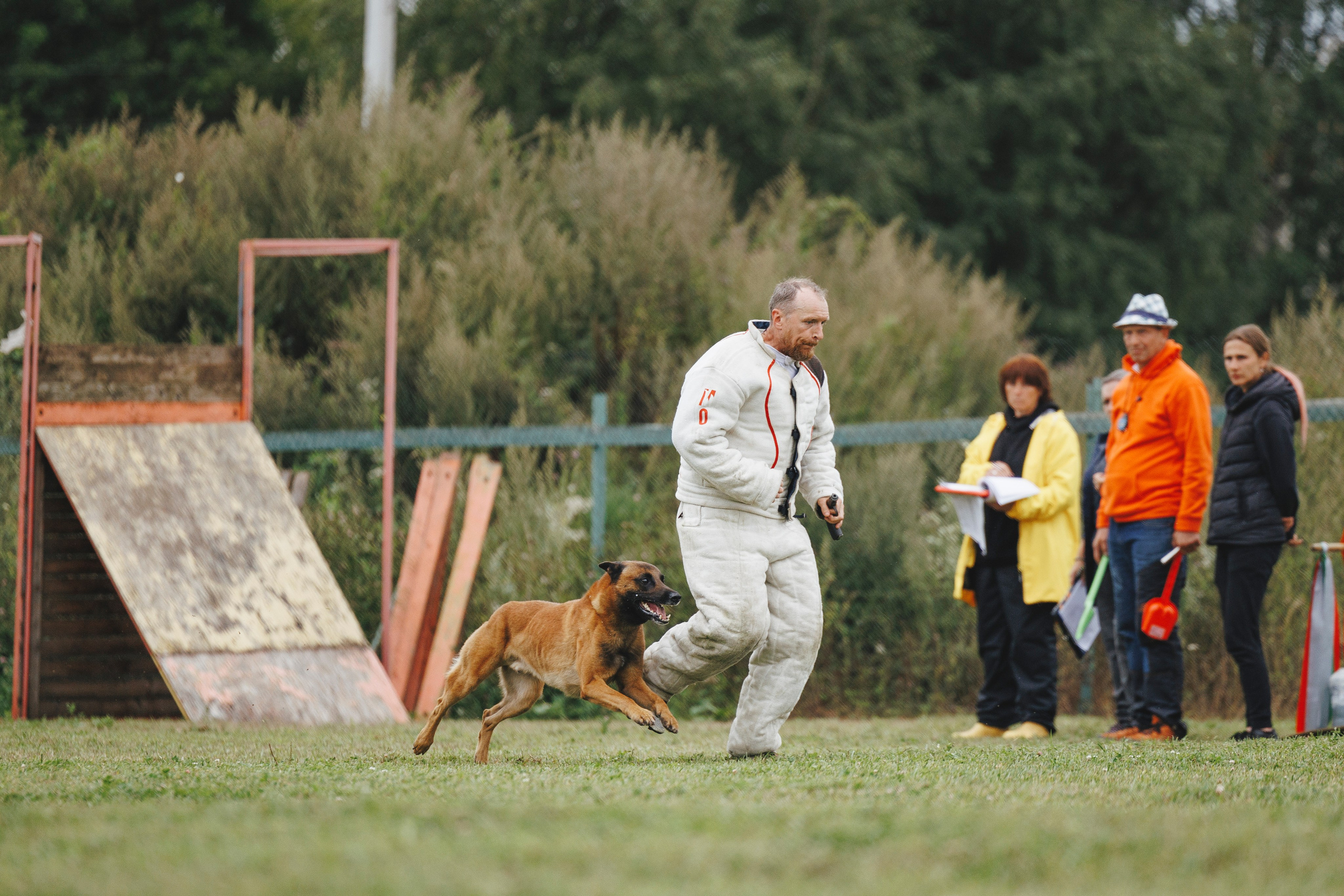 08.08.25-10.08.25 ЧР по мондьорингу г. Вологда. Фотограф-анималист Анна Маринич