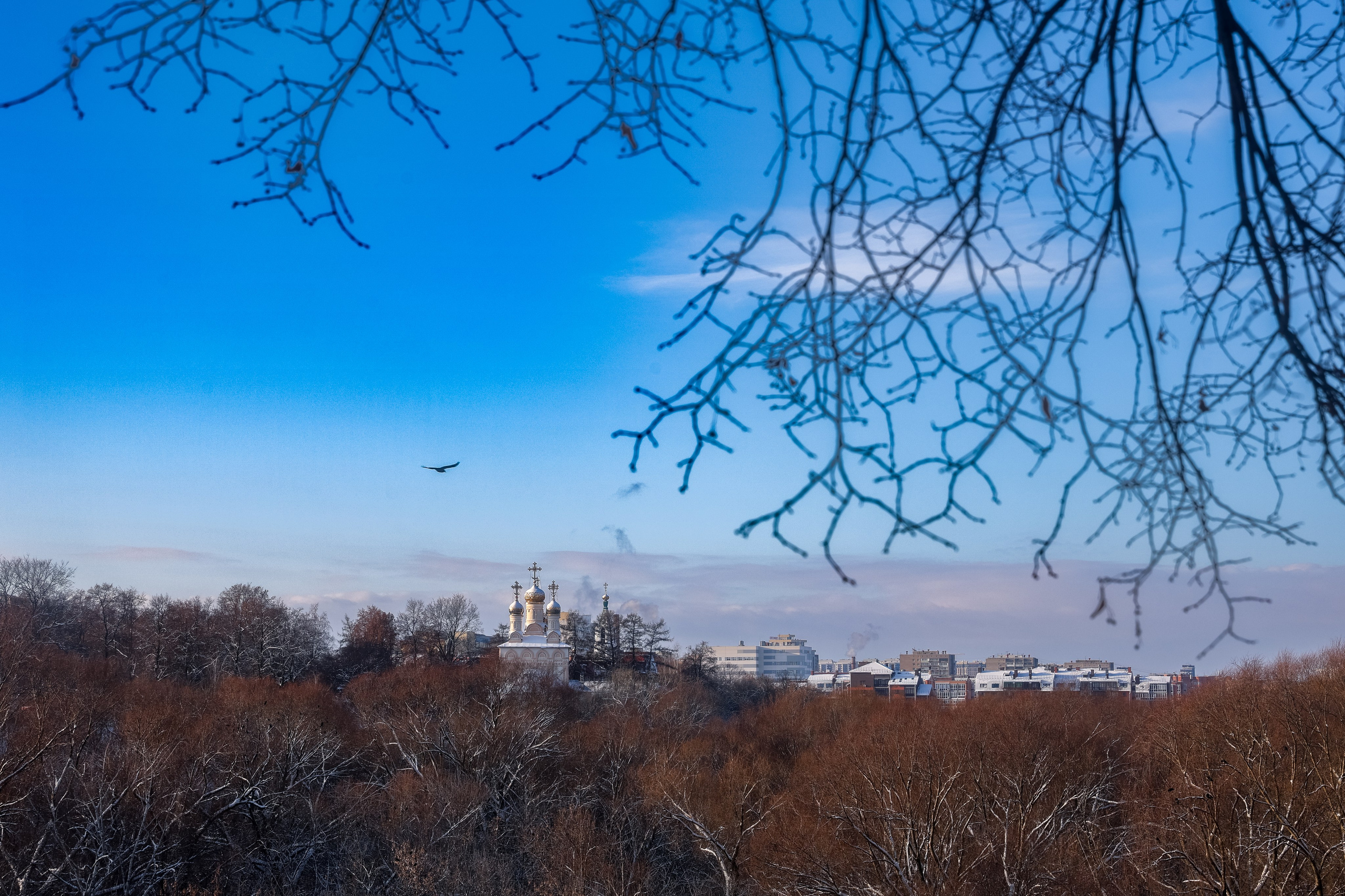 Пейзажи и архитектура. Лена Румянцева — репортажный, детский и семейный фотограф в Москве