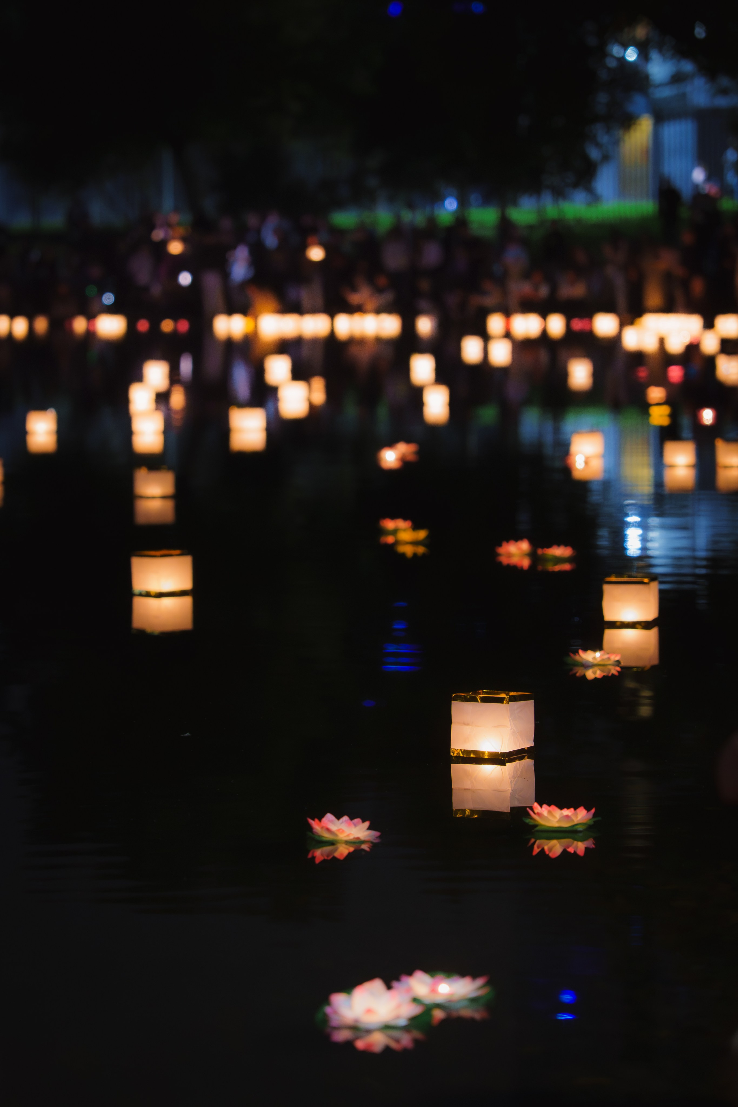 Фото-прогулка. Пенкин Александр