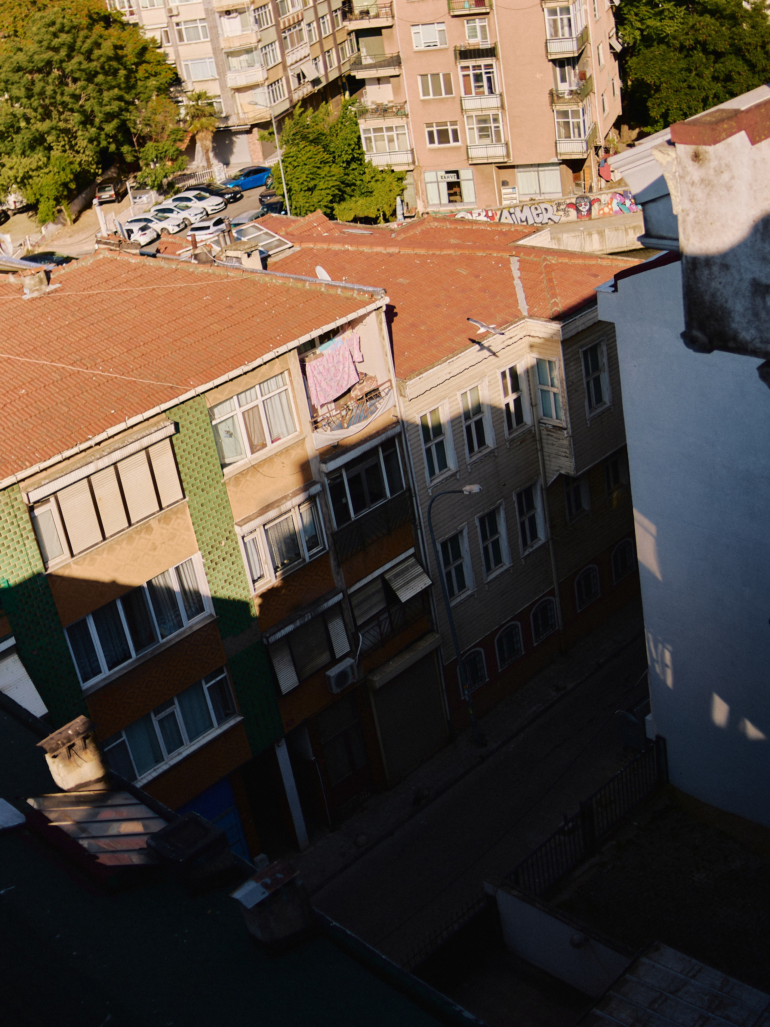 Другое 3. Jorgis Talè — photographer, kind person, teacher of arts and other mag