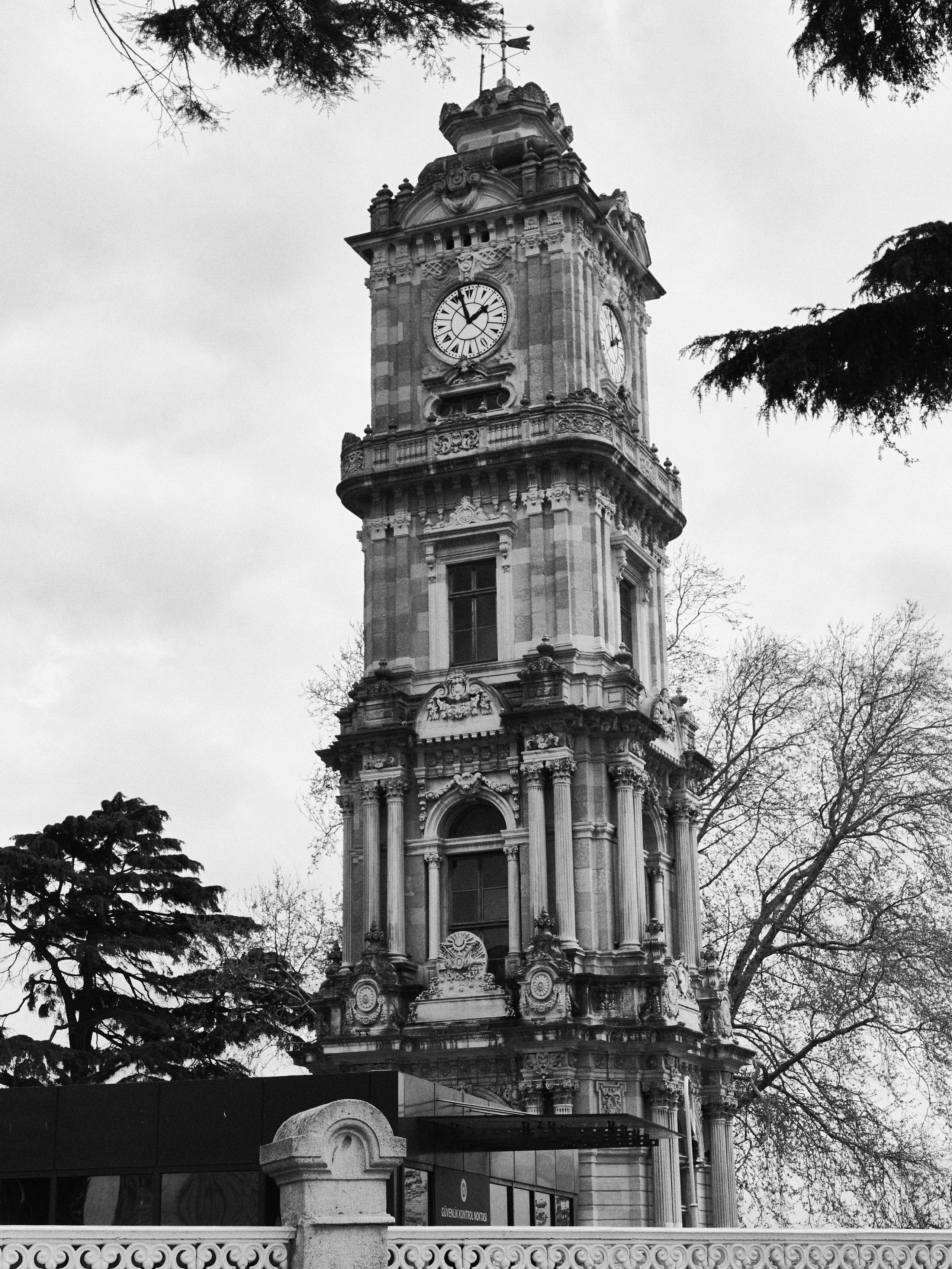 B&W. Jorgis — фотограф в Хургаде / обучение фотографии