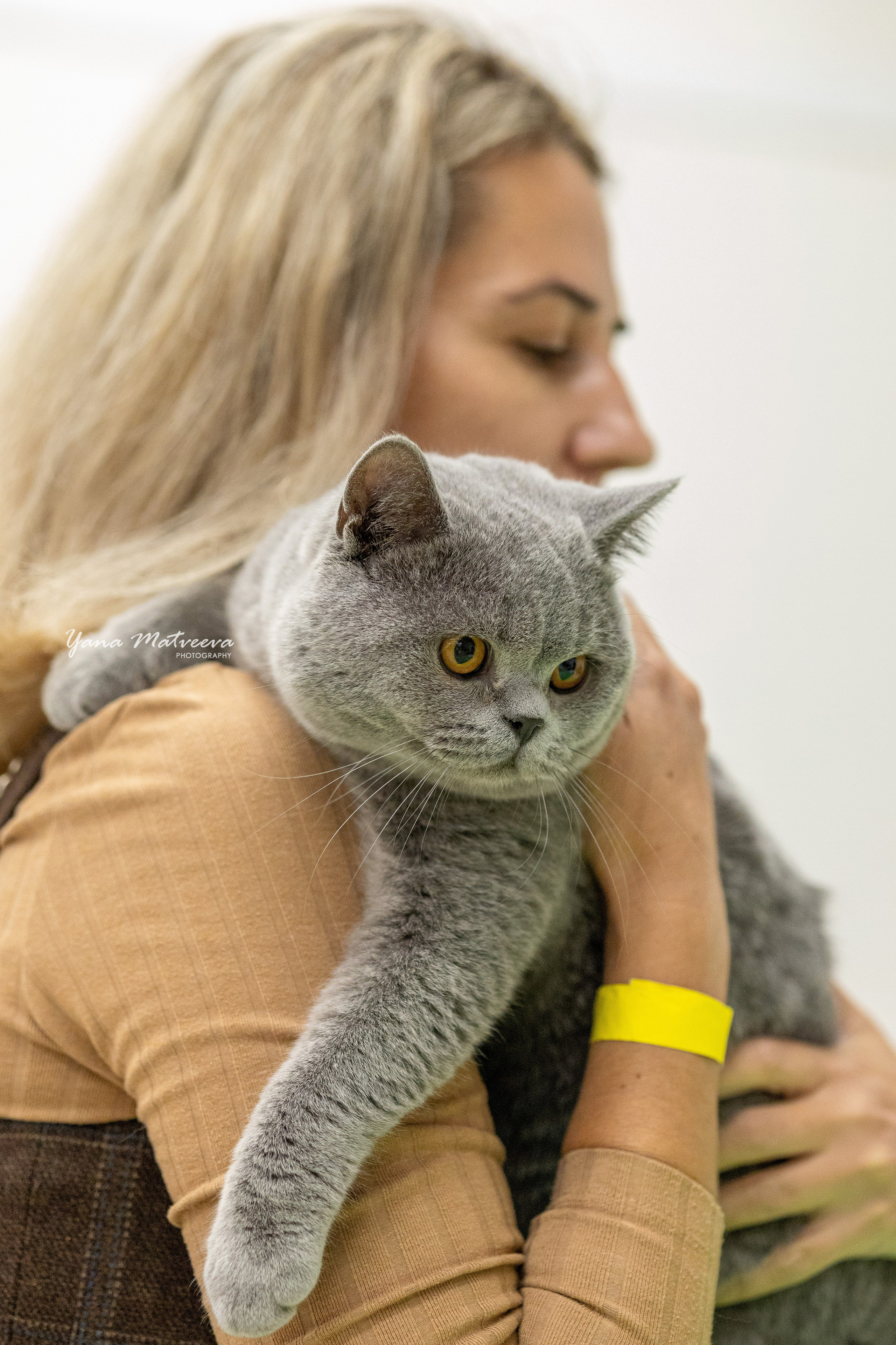 Кошки. Фотограф Яна Матвеева в Ижевске