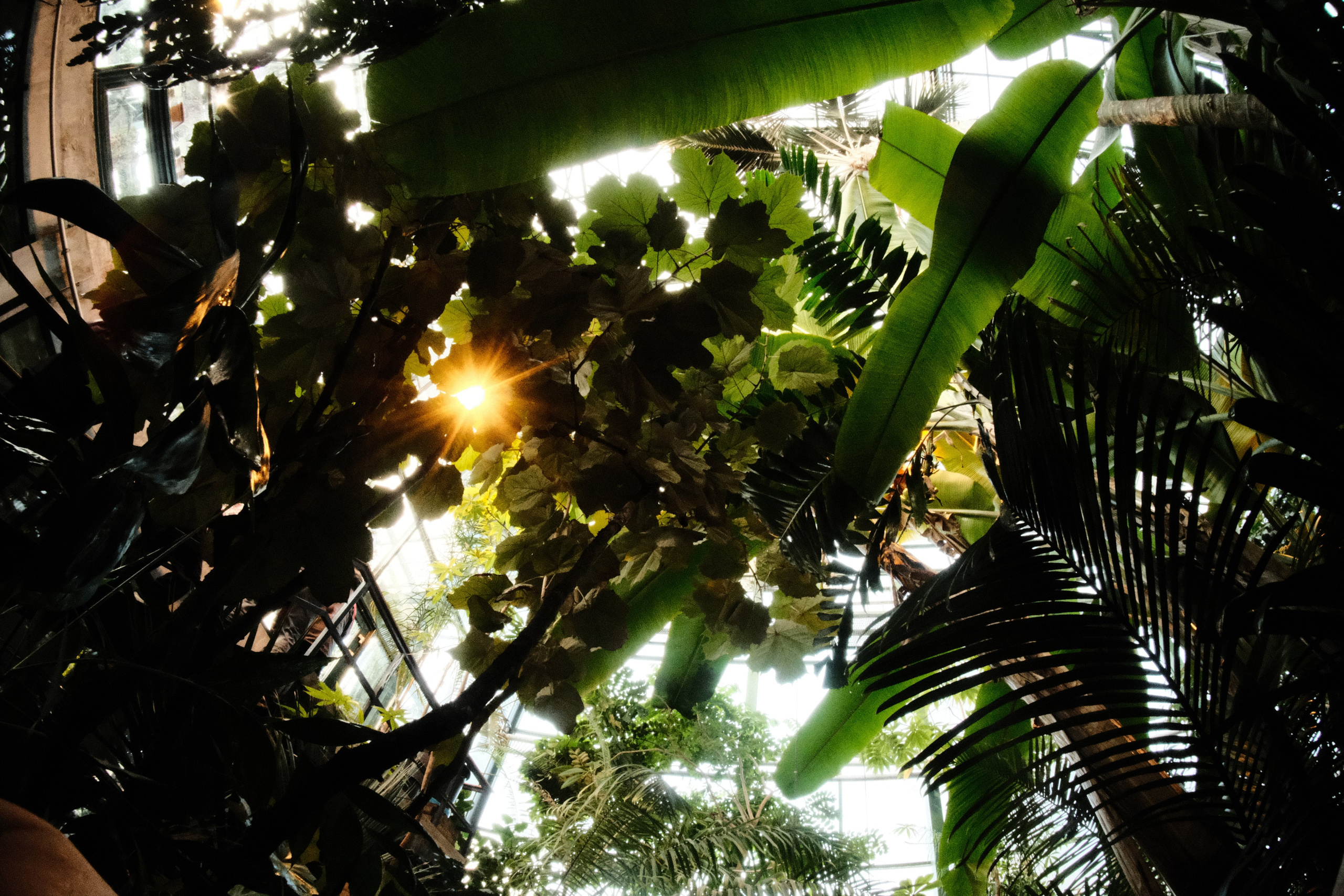 Аптекарский огород. Фотограф-любитель из Кирова Андрей Погребняк