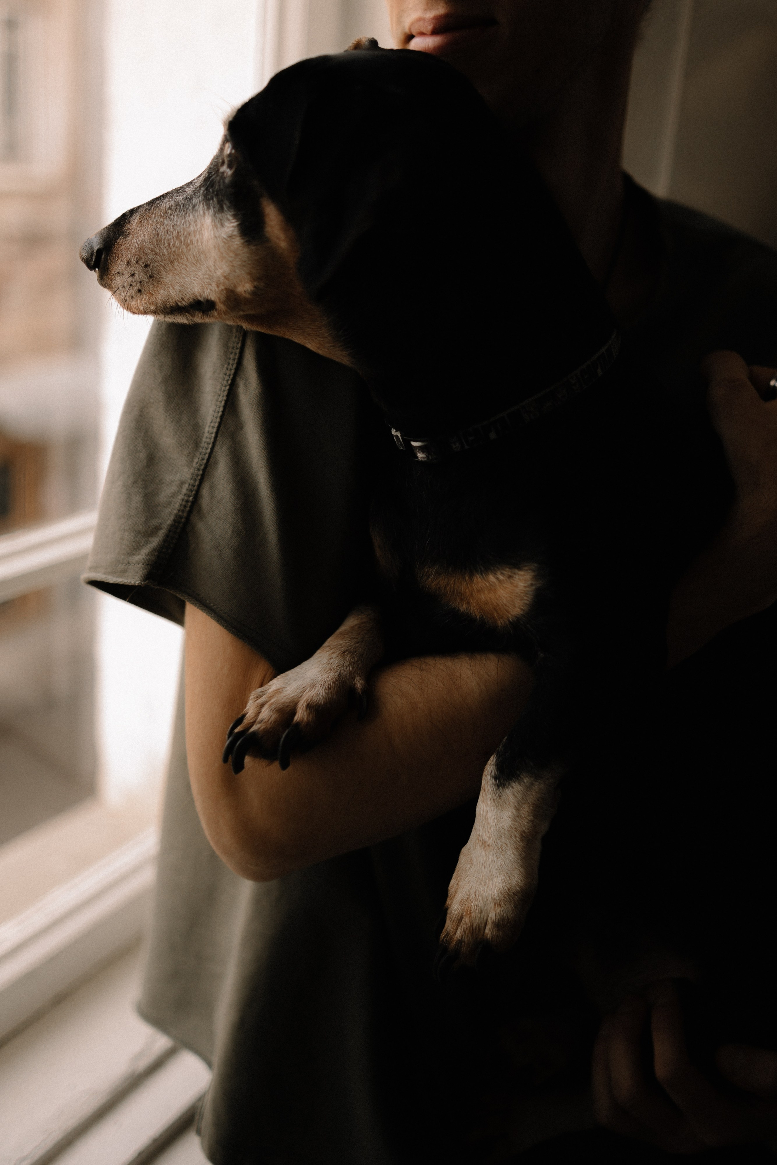 Максим, Мария и маленький друг. Семейный фотограф в Краснодаре Храмова Анна