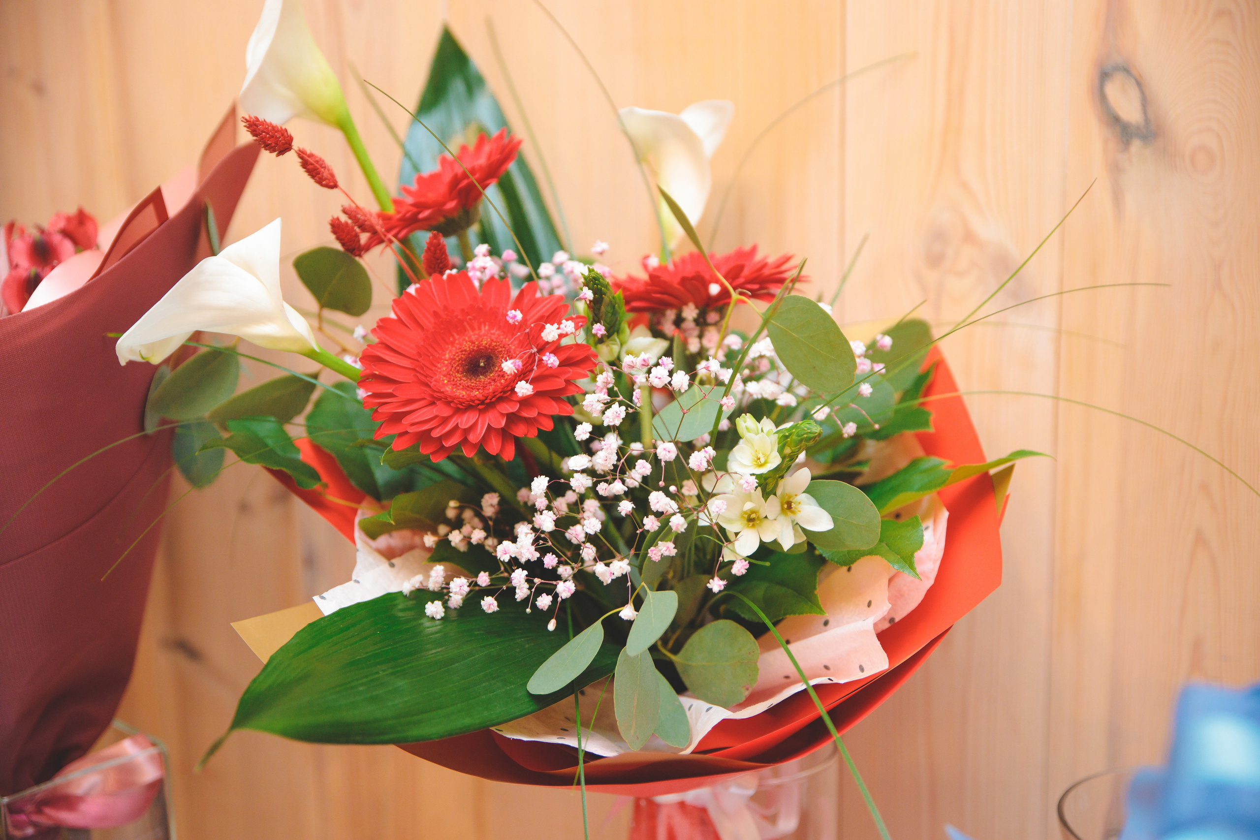 День рождения Ольги. Сайт фотографа Марина Ефанова