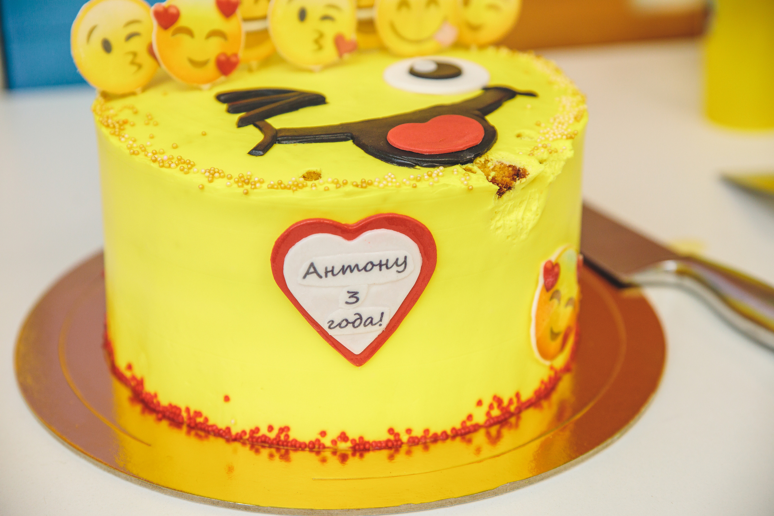 День рождения Антона. Сайт фотографа Марина Ефанова