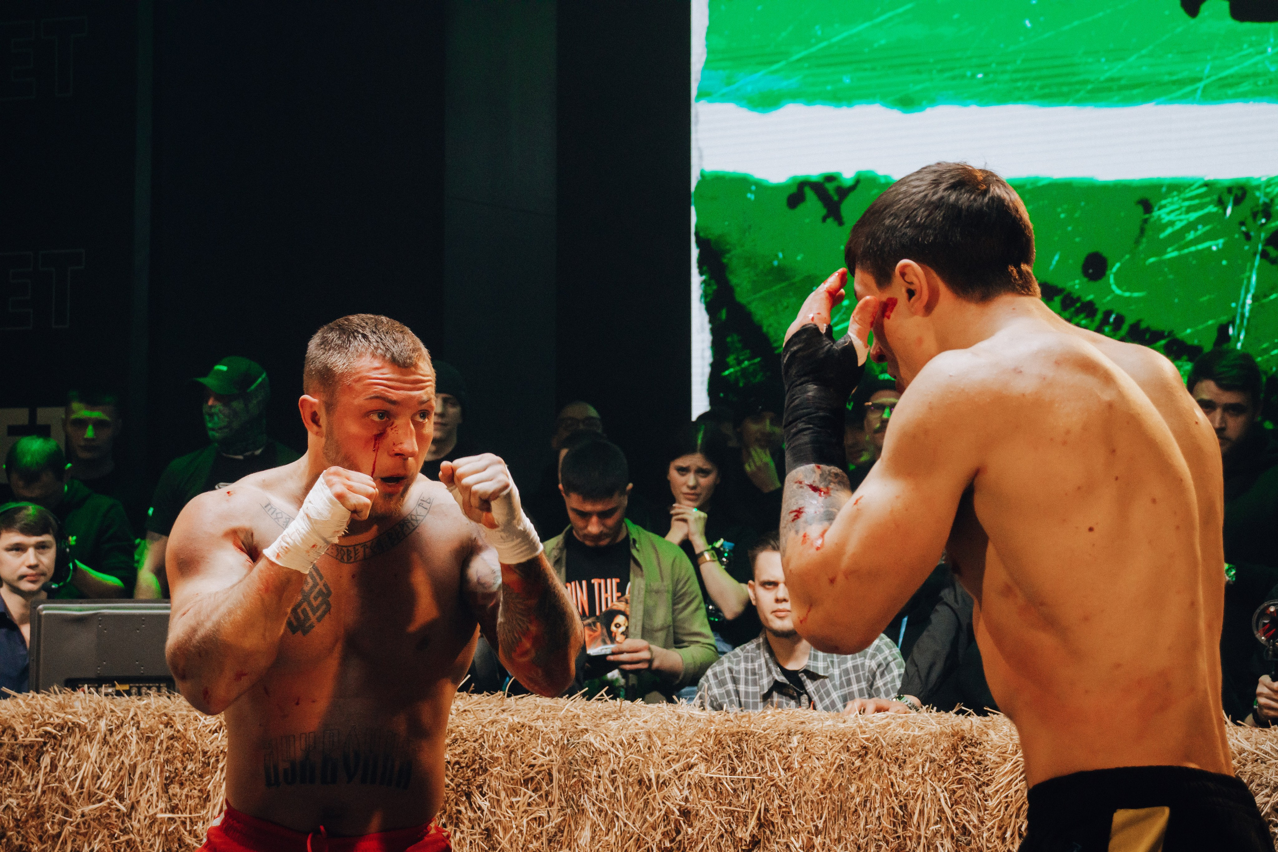 Кулачные бои TopDog. Анастасия Тен