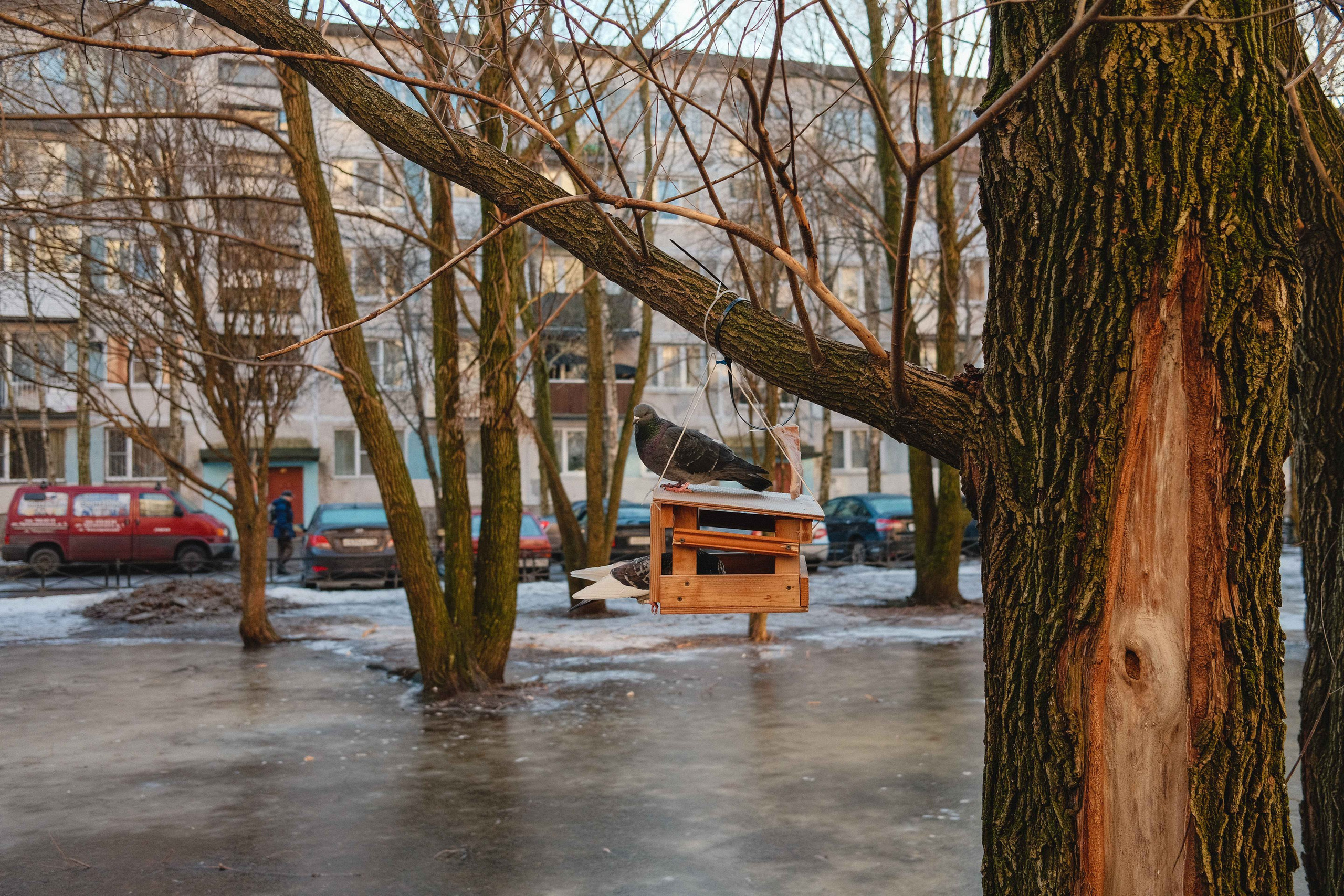 2023.01. Фотограф Алексей Алексеев