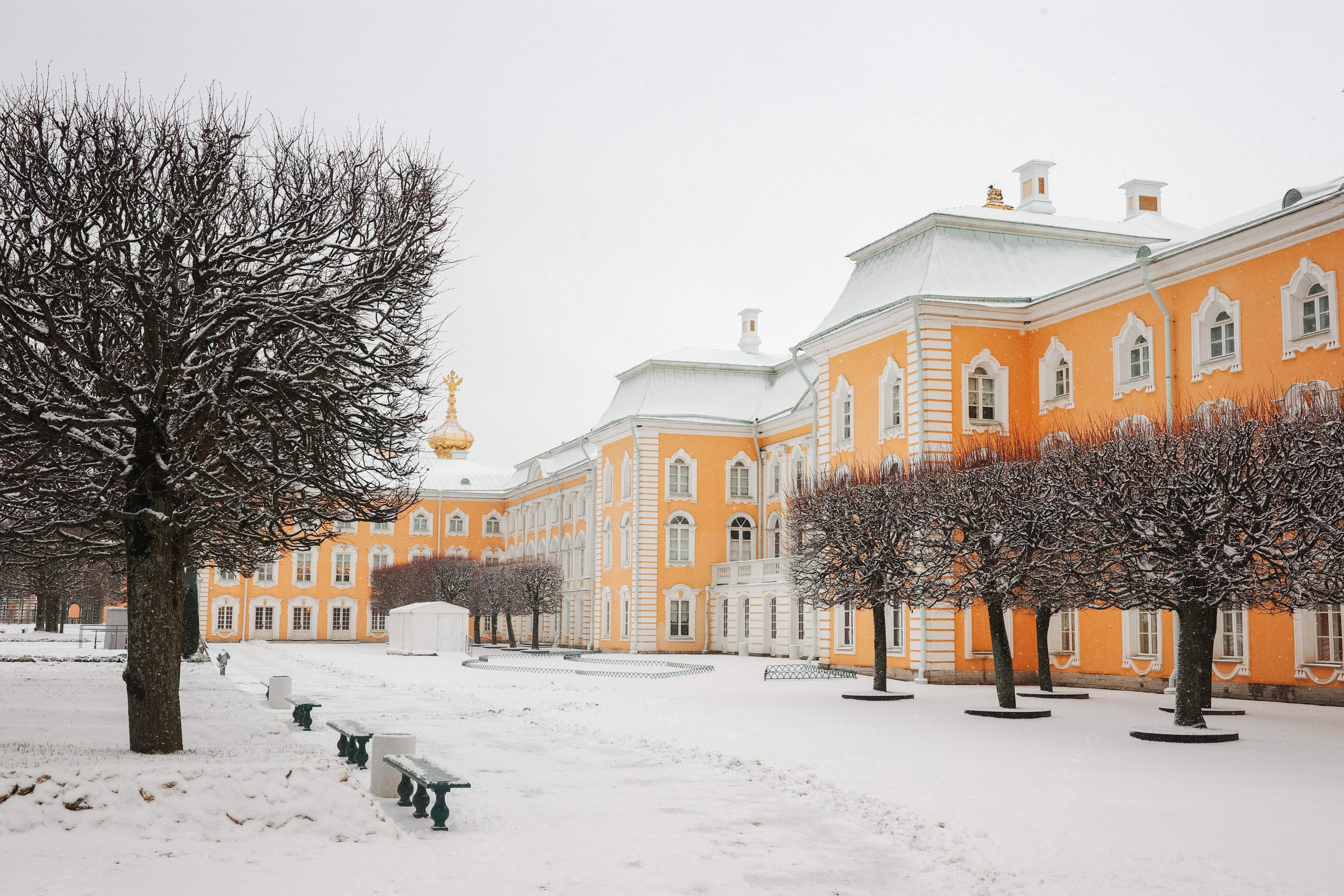 2025.02. Фотограф Алексей Алексеев