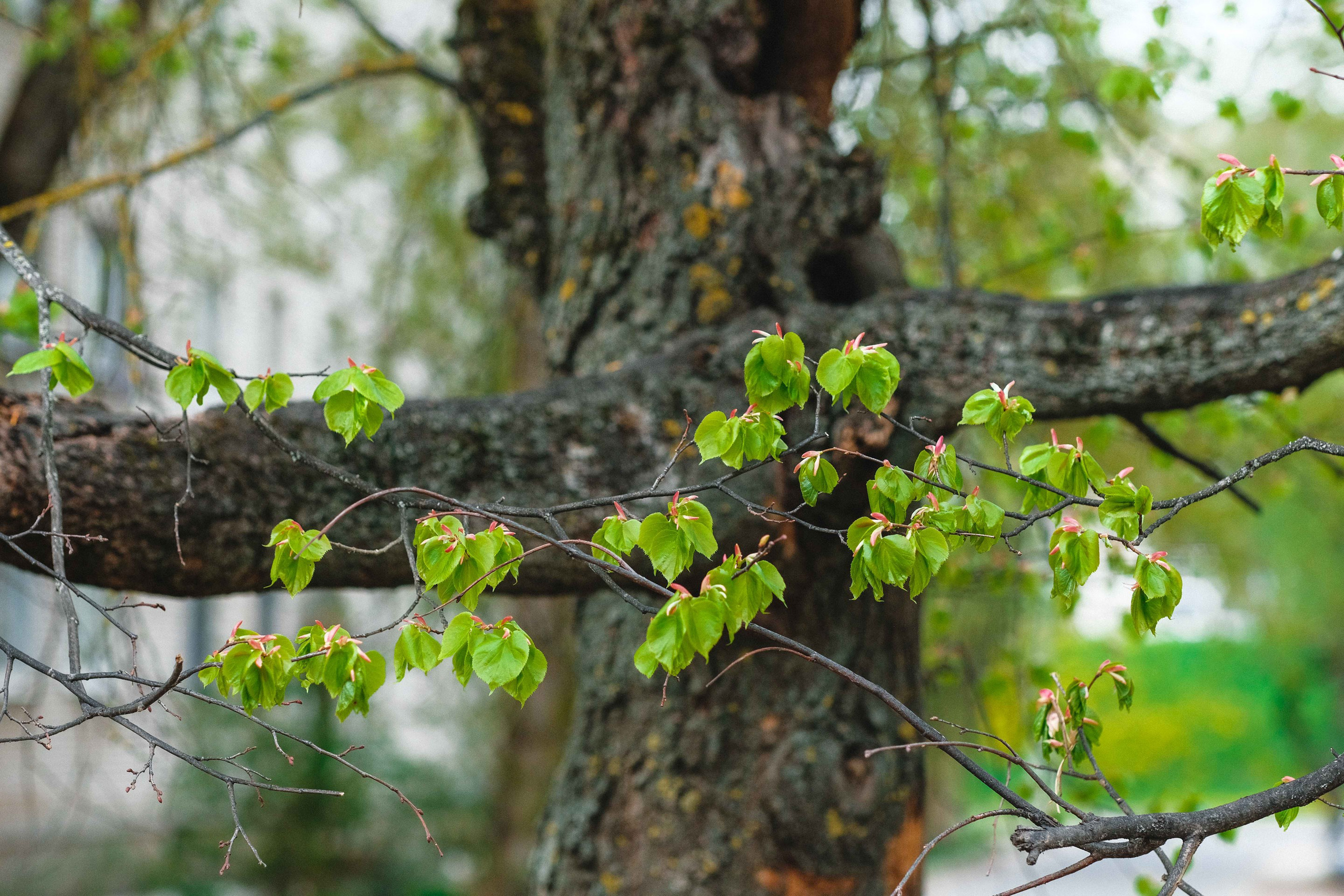 2023.05. Фотограф Алексей Алексеев
