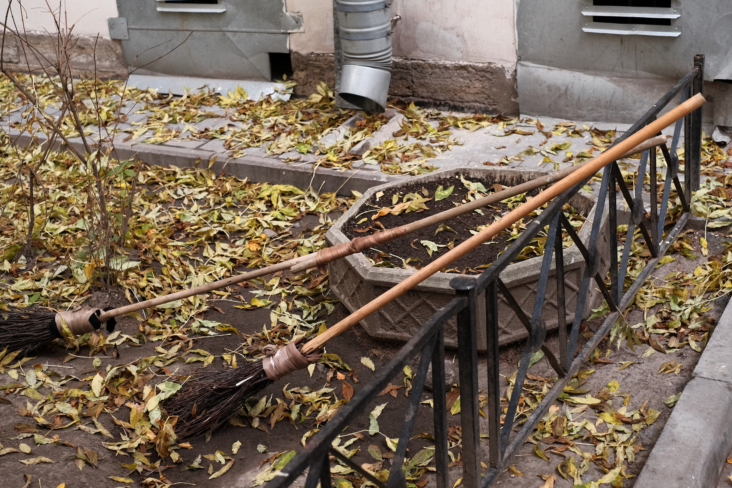 2021.10. Фотограф Алексей Алексеев