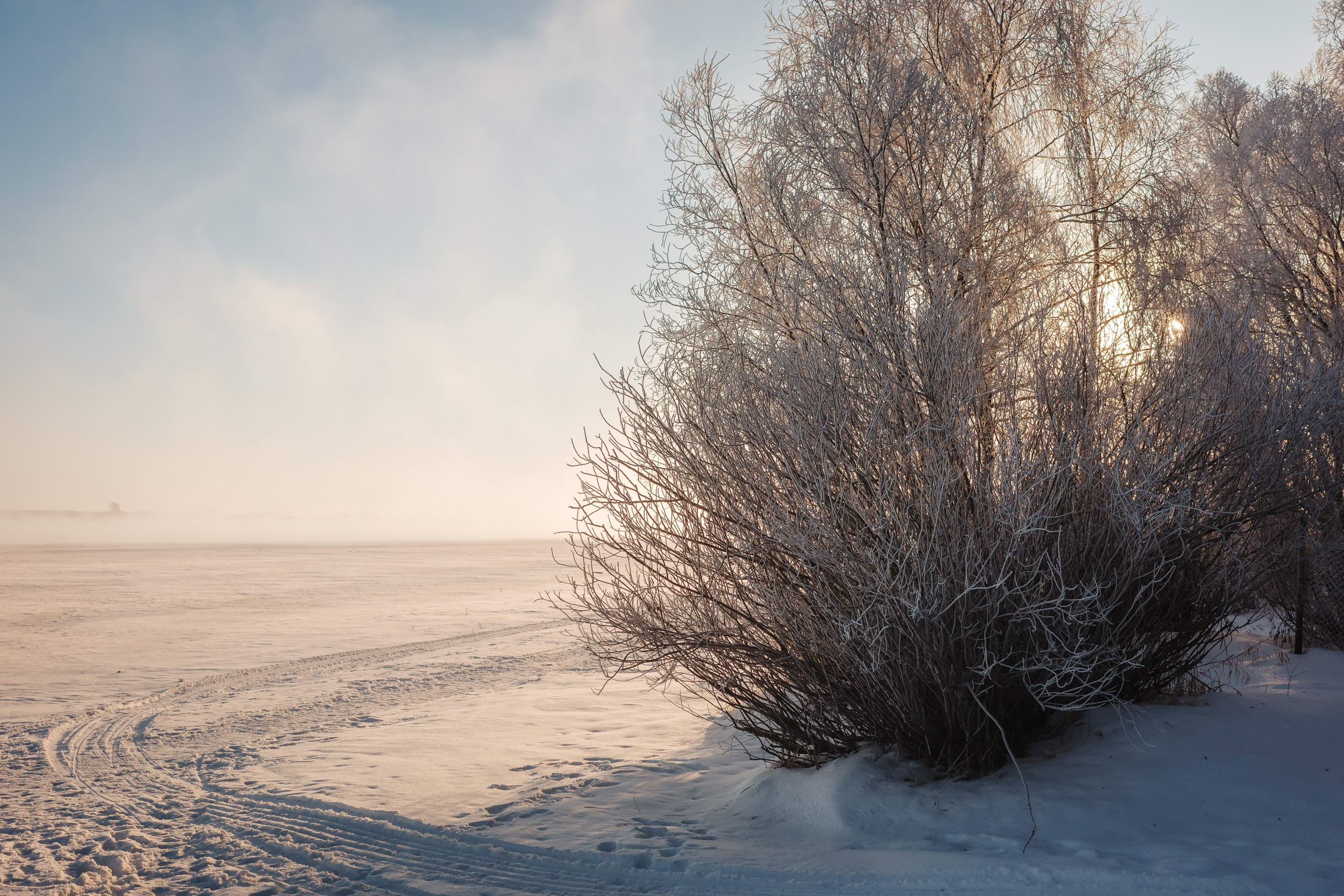 2024.01. Фотограф Алексей Алексеев
