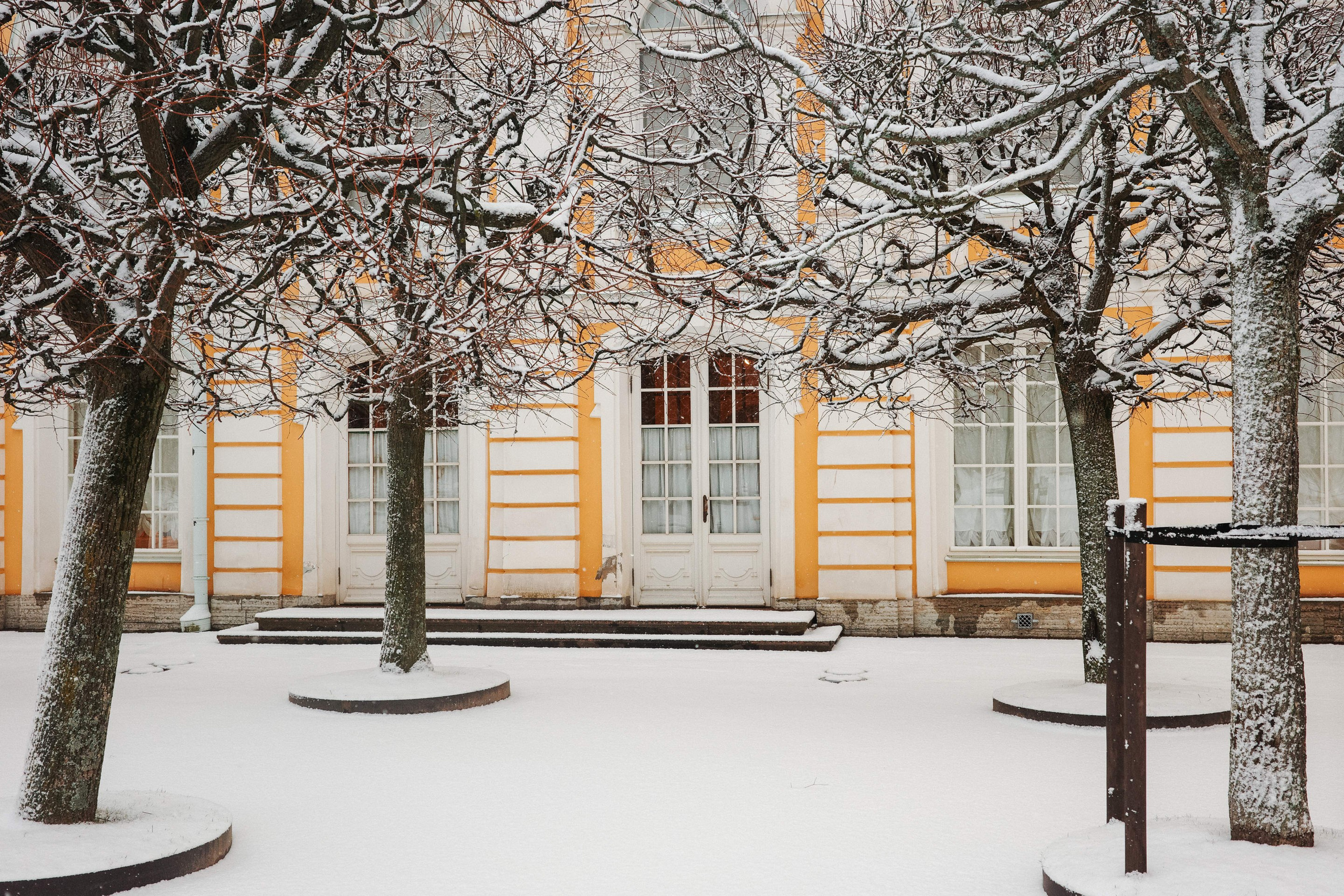 2025.02. Фотограф Алексей Алексеев