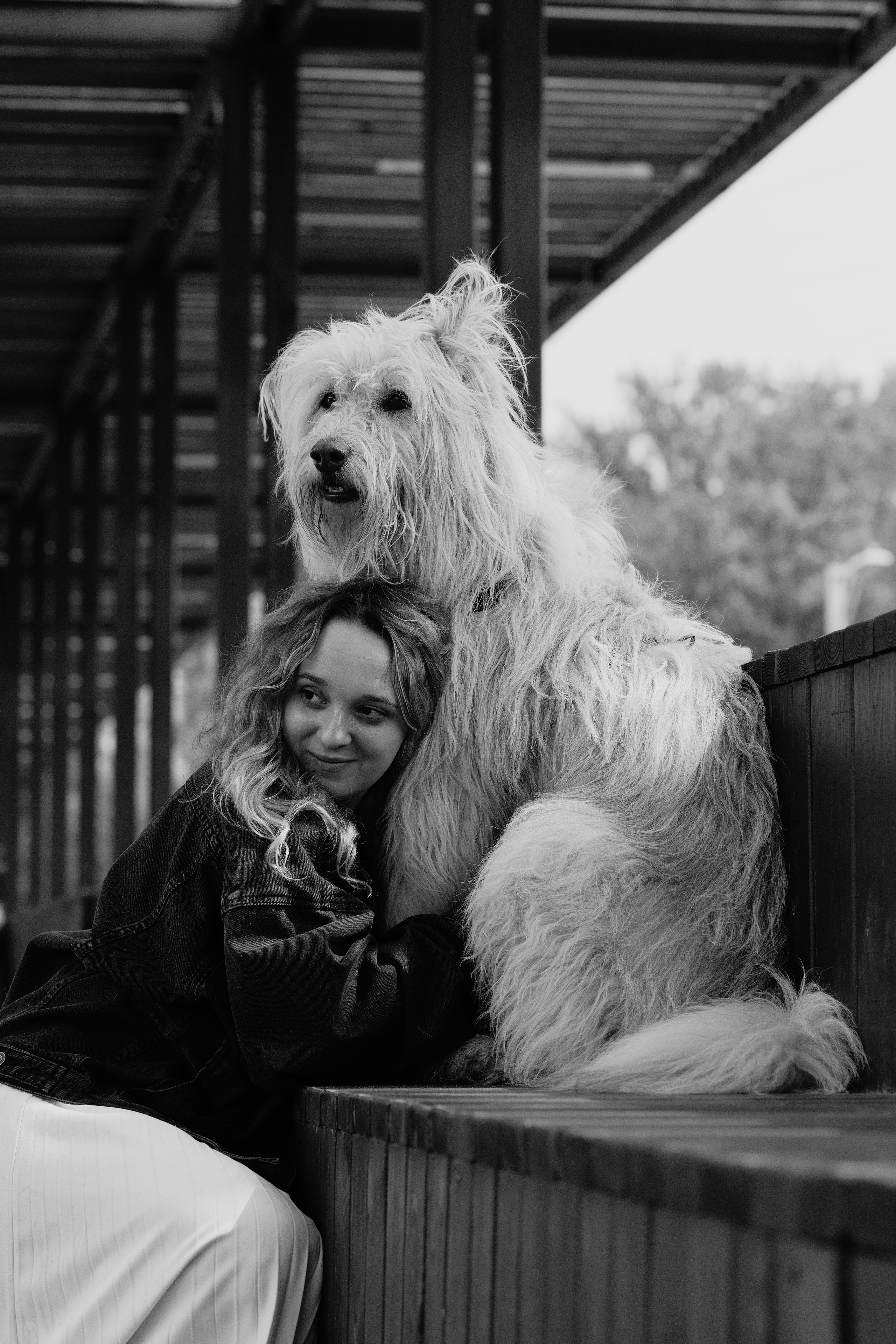 Акиро и Йоши. Фотограф- анималист Александра Матвеева