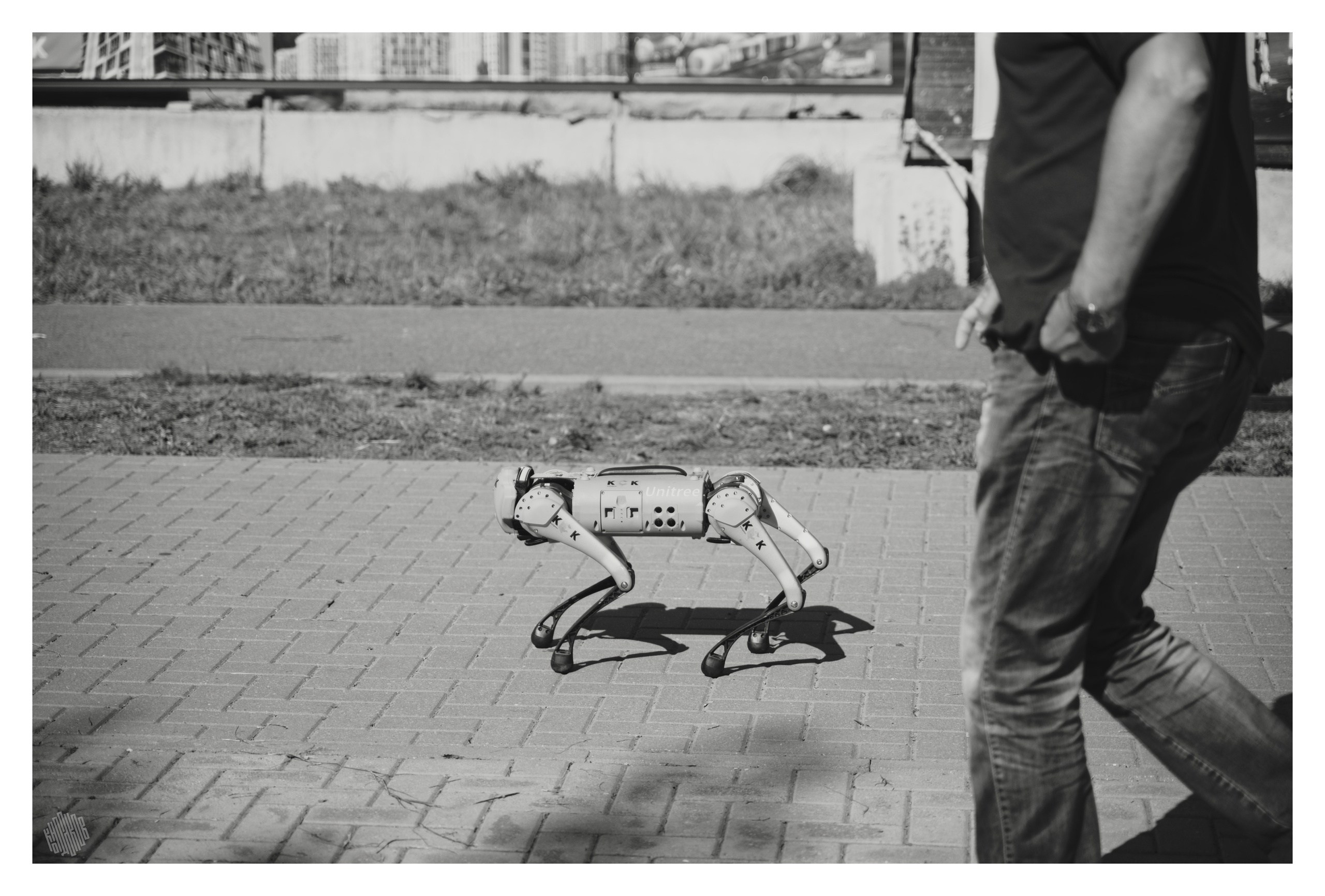Черно белые снимки. Фотограф для маркетплейсов в Иваново | Съемки одежды и белья