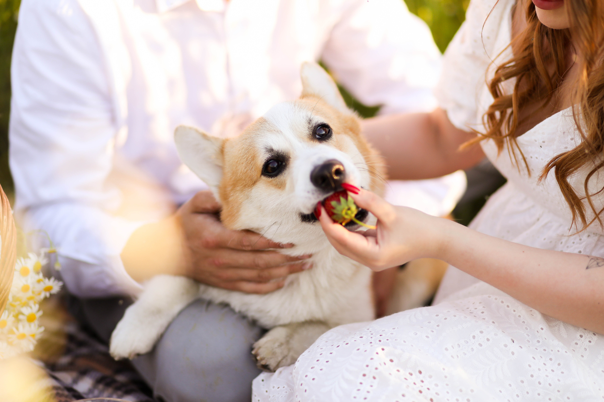 Юра, Женя и малыш Чич. ФОТОГРАФ ХАБАРОВСК АНАСТАСИЯ РАЧЕНКОВА