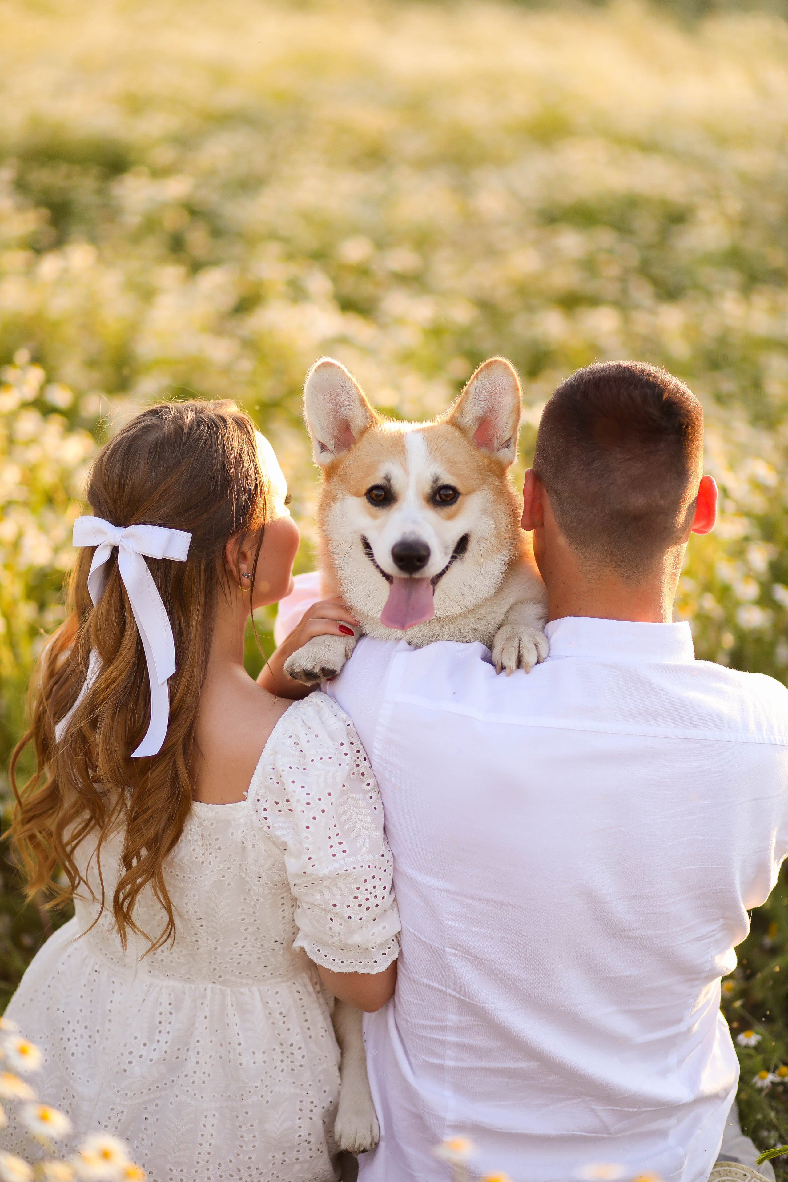 Юра, Женя и малыш Чич. ФОТОГРАФ ХАБАРОВСК АНАСТАСИЯ РАЧЕНКОВА
