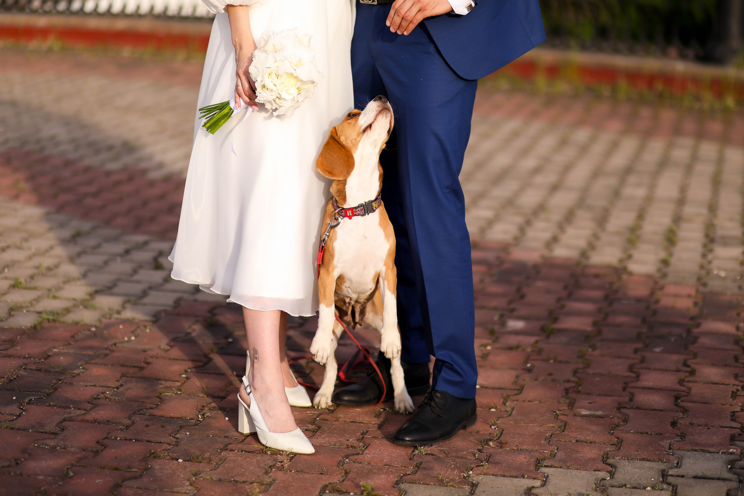 Алёна и Максим 12.06.22. ФОТОГРАФ ХАБАРОВСК АНАСТАСИЯ РАЧЕНКОВА