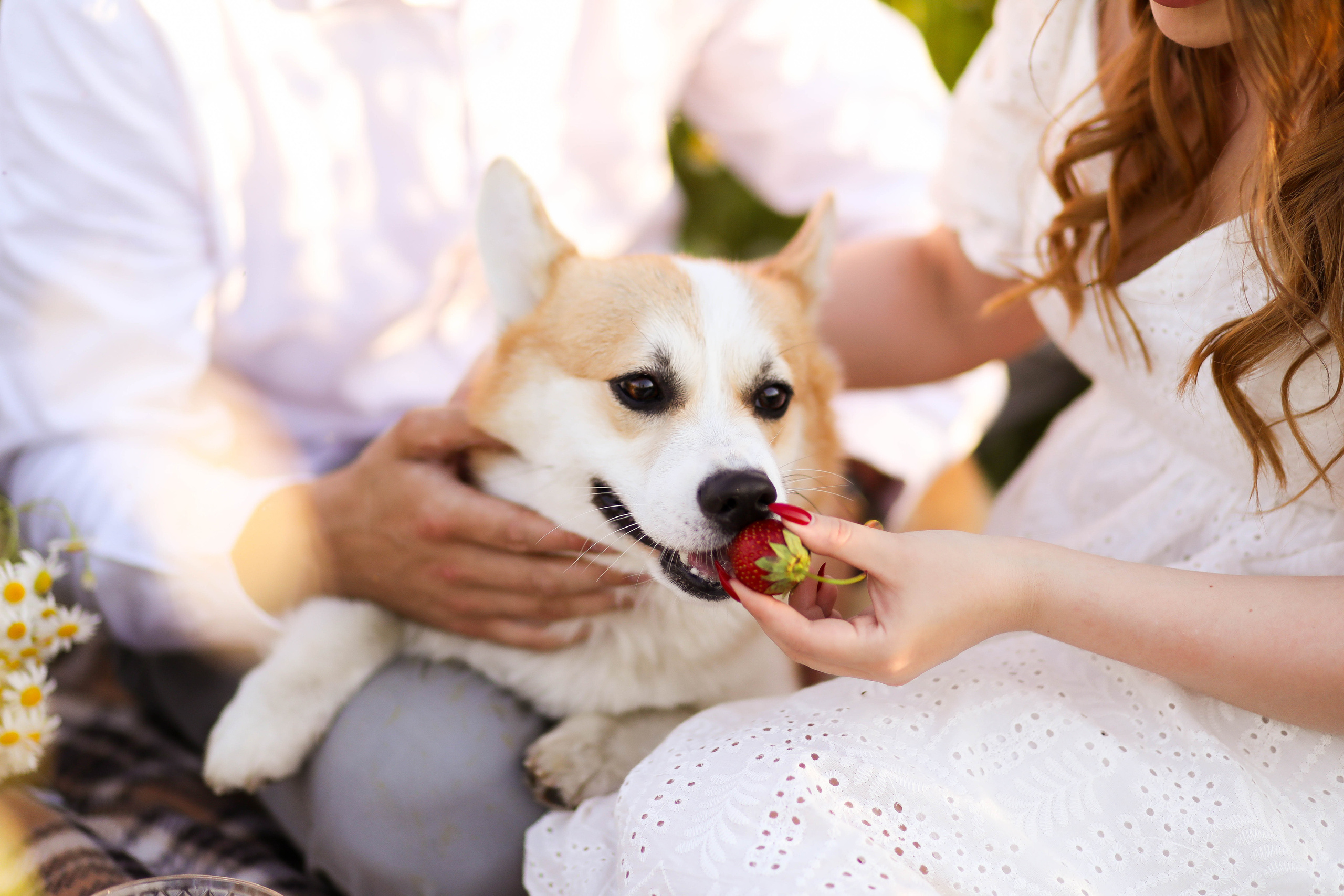 Юра, Женя и малыш Чич. ФОТОГРАФ ХАБАРОВСК АНАСТАСИЯ РАЧЕНКОВА