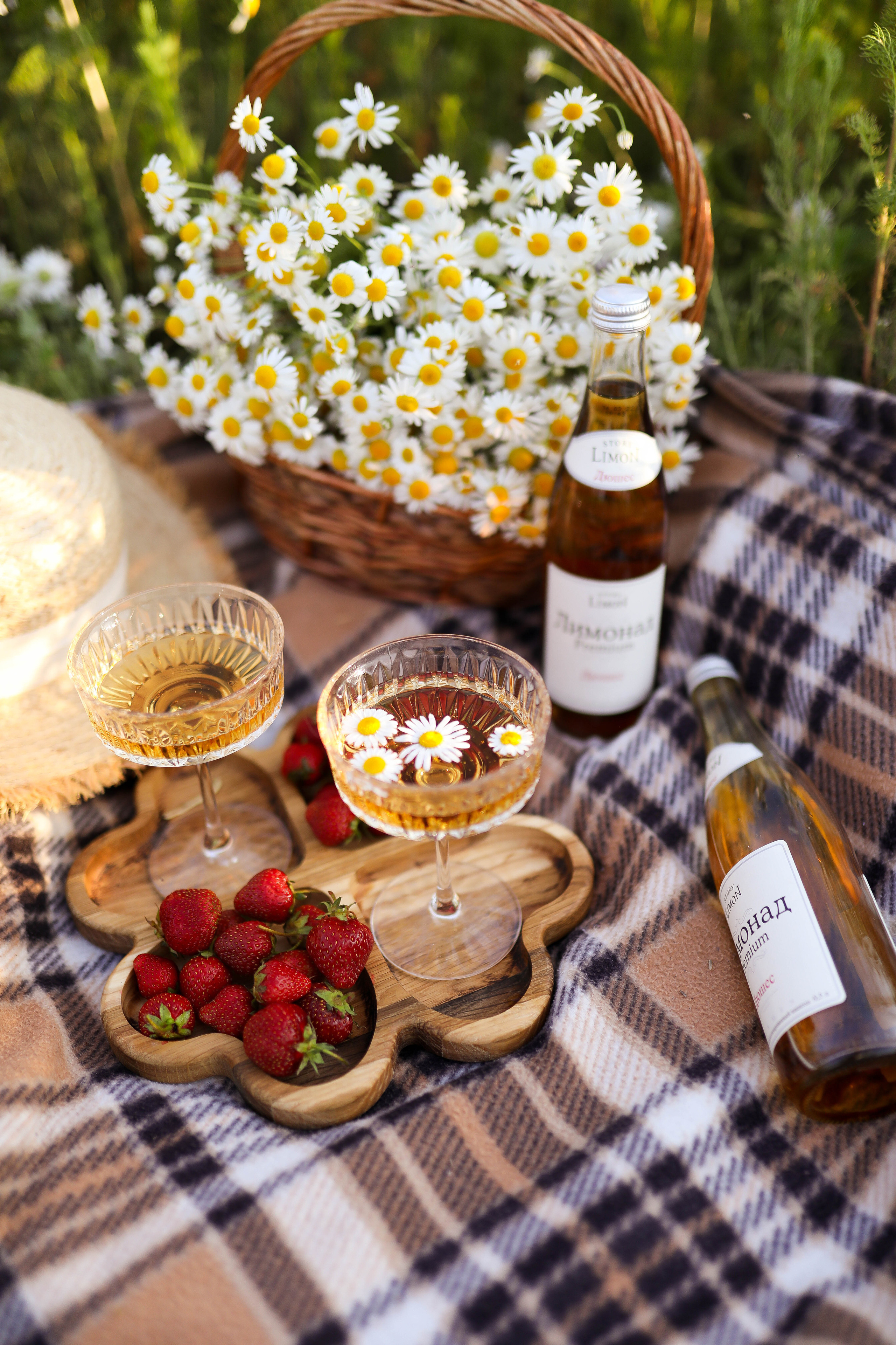 Юра, Женя и малыш Чич. ФОТОГРАФ ХАБАРОВСК АНАСТАСИЯ РАЧЕНКОВА