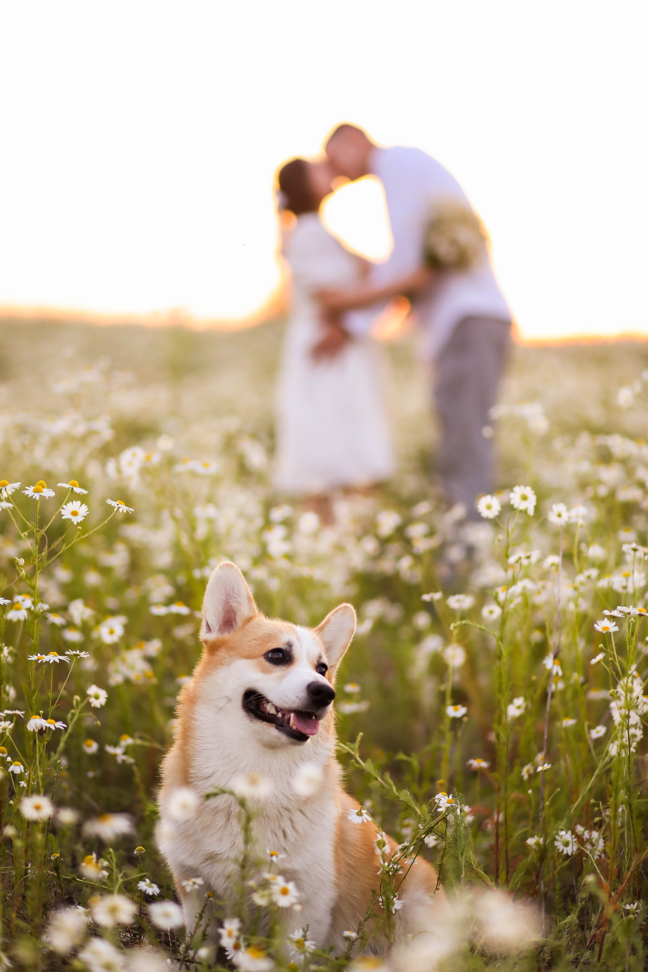 Юра, Женя и малыш Чич. ФОТОГРАФ ХАБАРОВСК АНАСТАСИЯ РАЧЕНКОВА