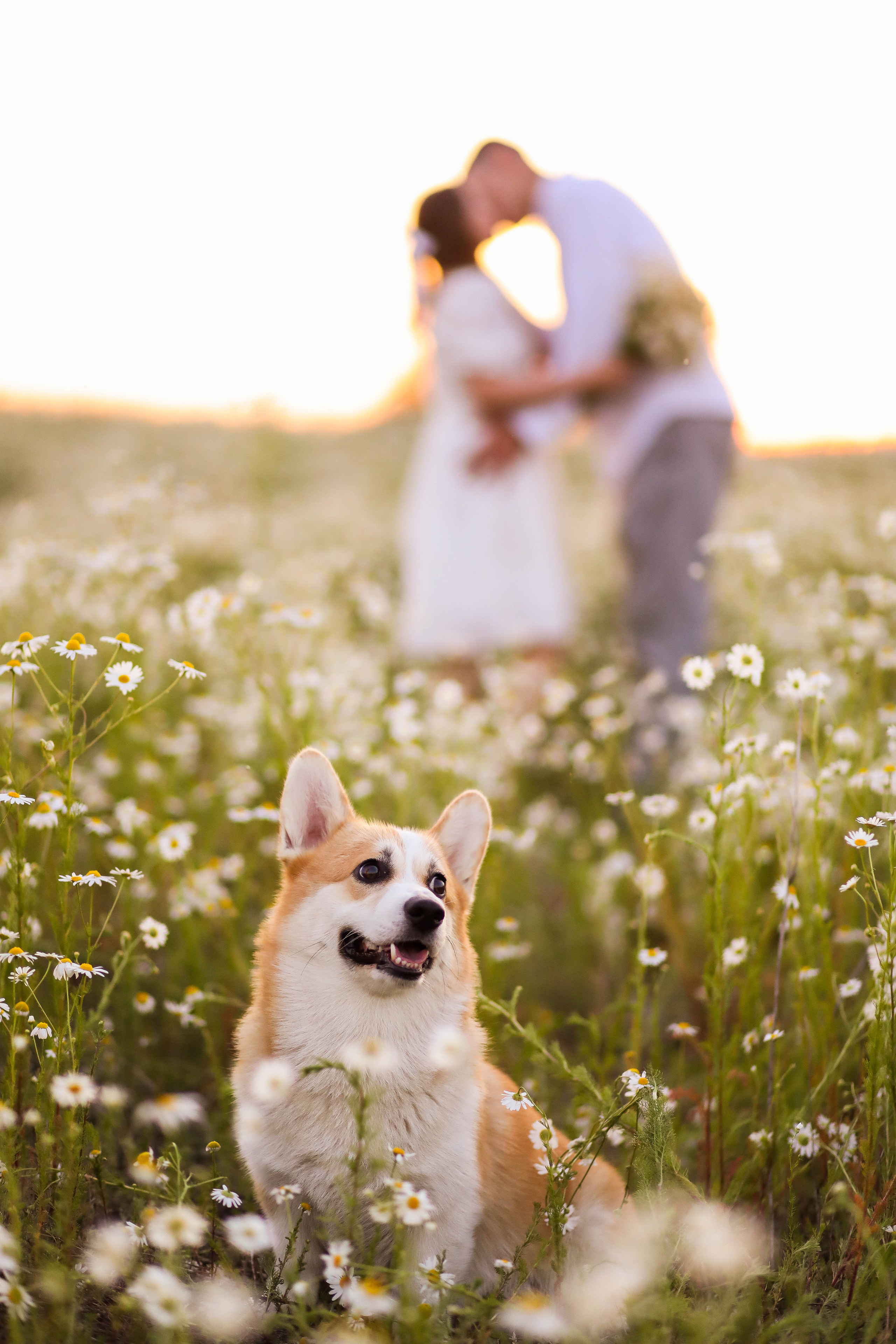 Юра, Женя и малыш Чич. ФОТОГРАФ ХАБАРОВСК АНАСТАСИЯ РАЧЕНКОВА