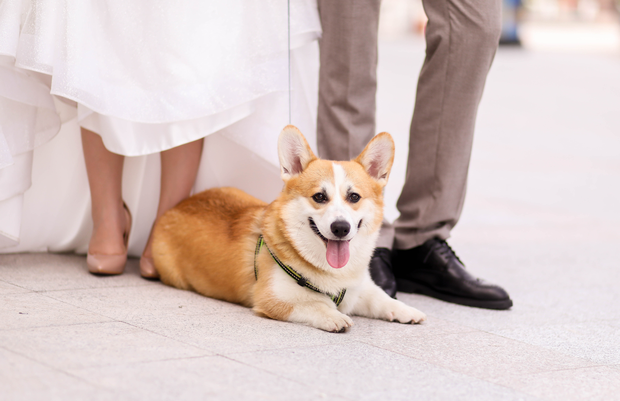 Юра и Женя 16.07.22. ФОТОГРАФ ХАБАРОВСК АНАСТАСИЯ РАЧЕНКОВА