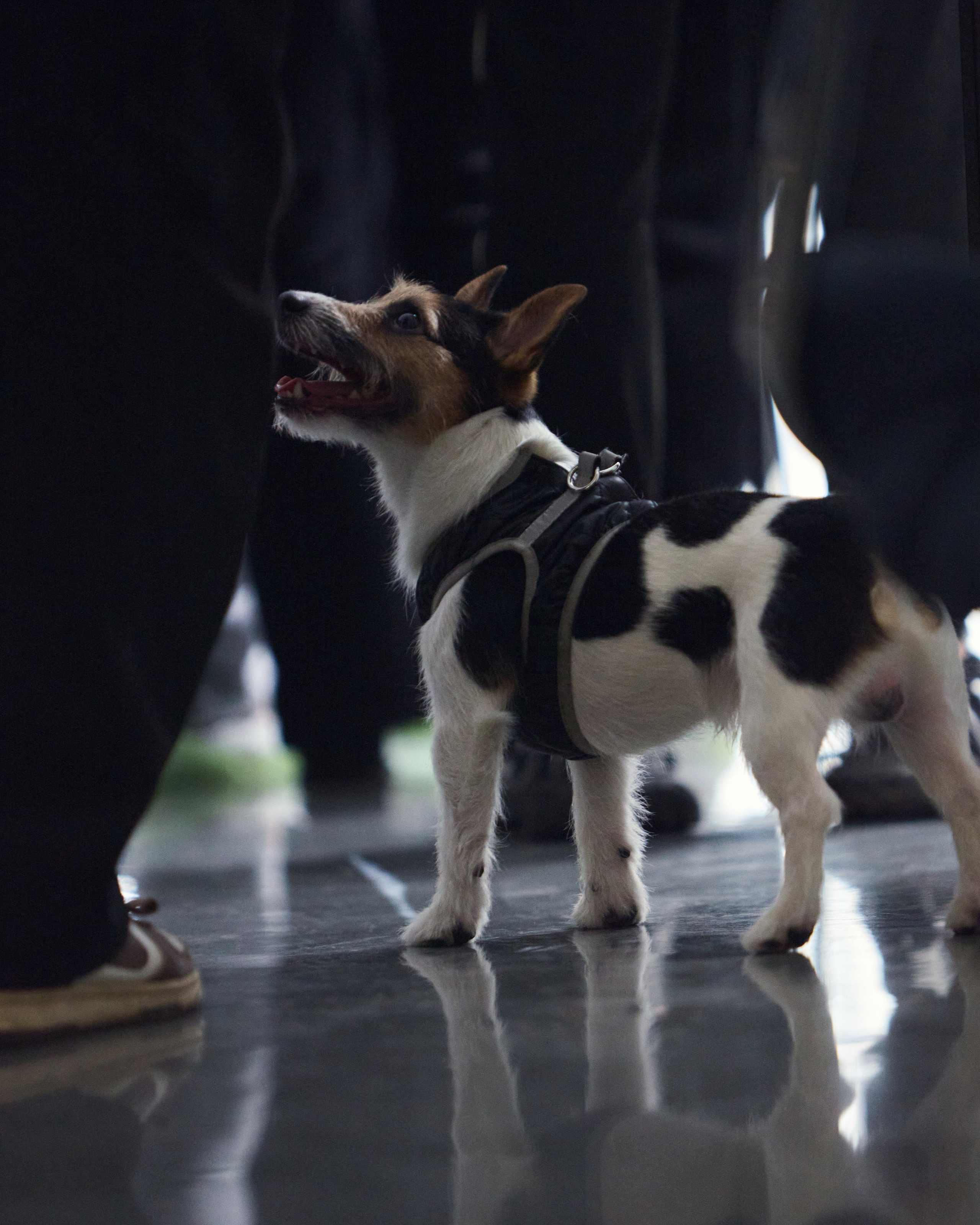 Репортаж. Главная