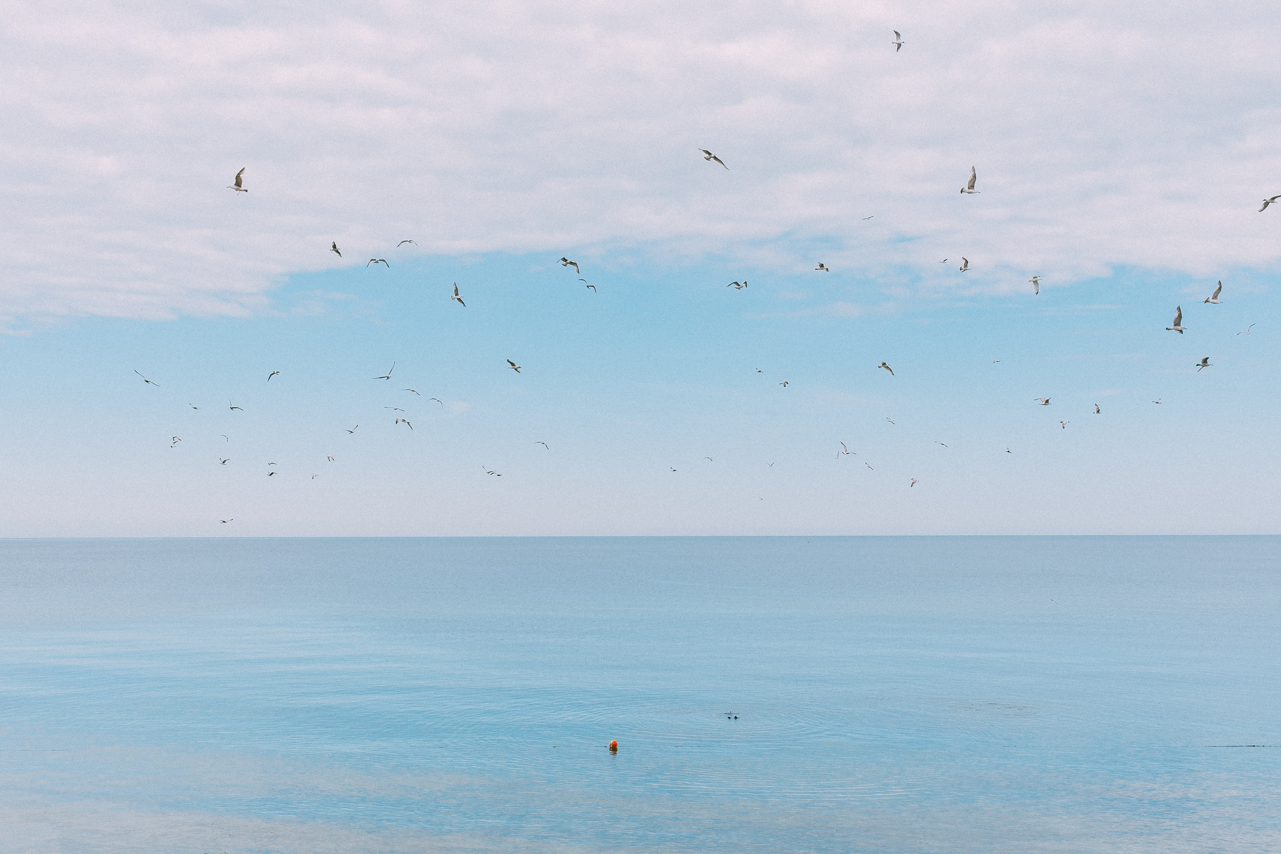 Зеленоградск. Аня Степанова