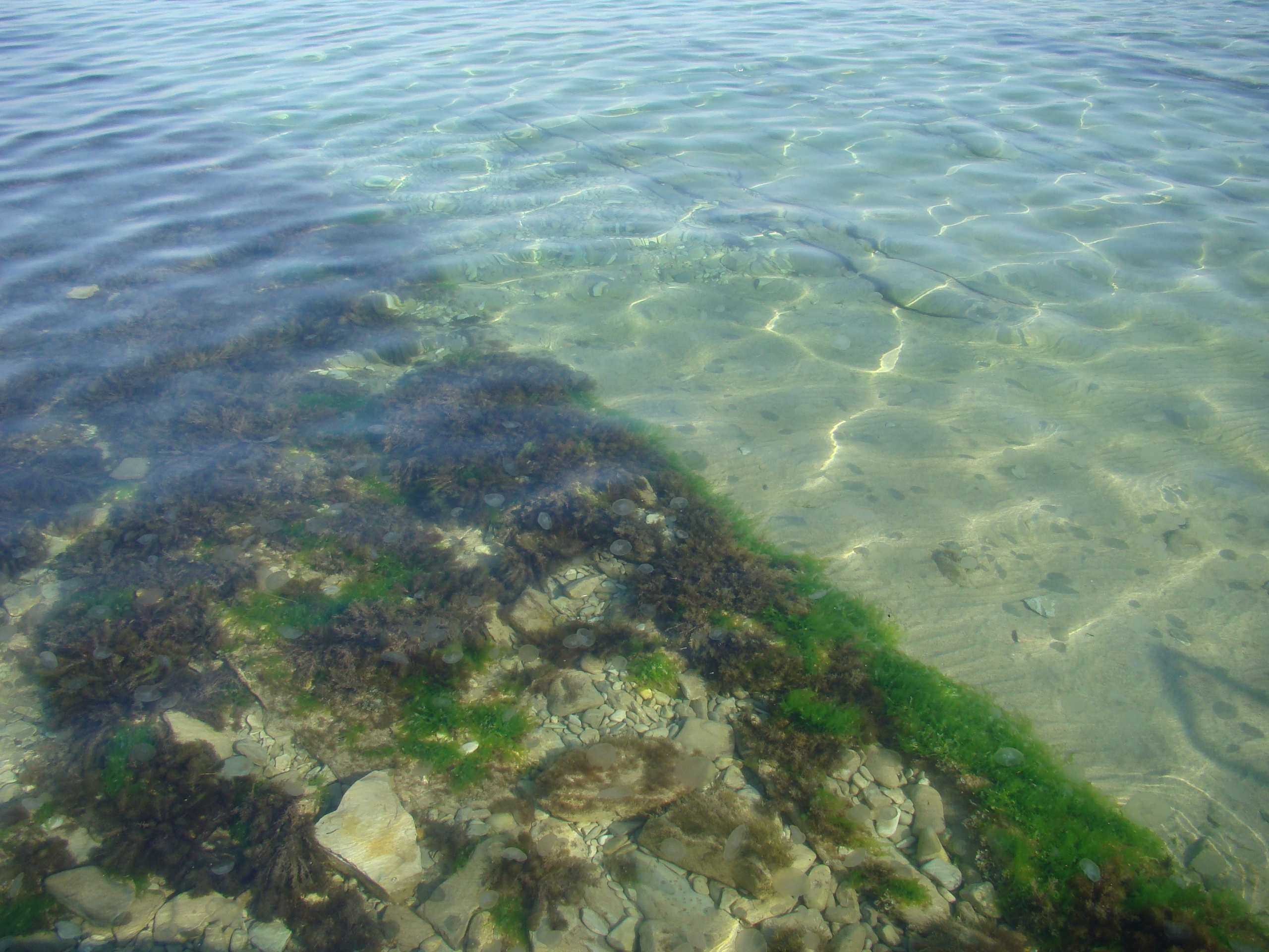 Кабардинка (фото Зевиных) 25.06-24.07.2008. Семейный, Свадебный фотограф СПБ Питер— Романова Екатерина