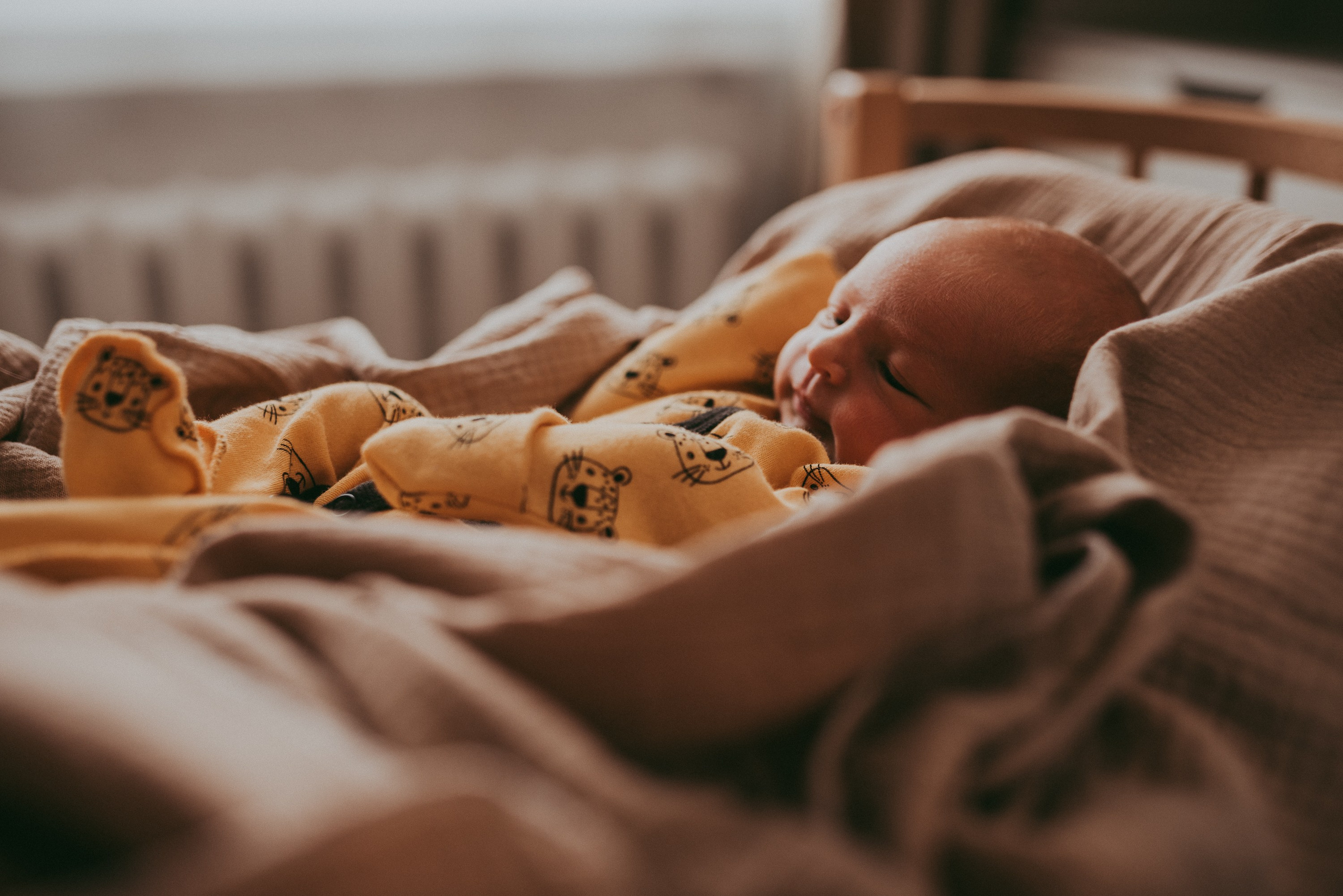 Маленький космос. Семейный и детский фотограф в Новосибирске и Краснообске — Анна Ким