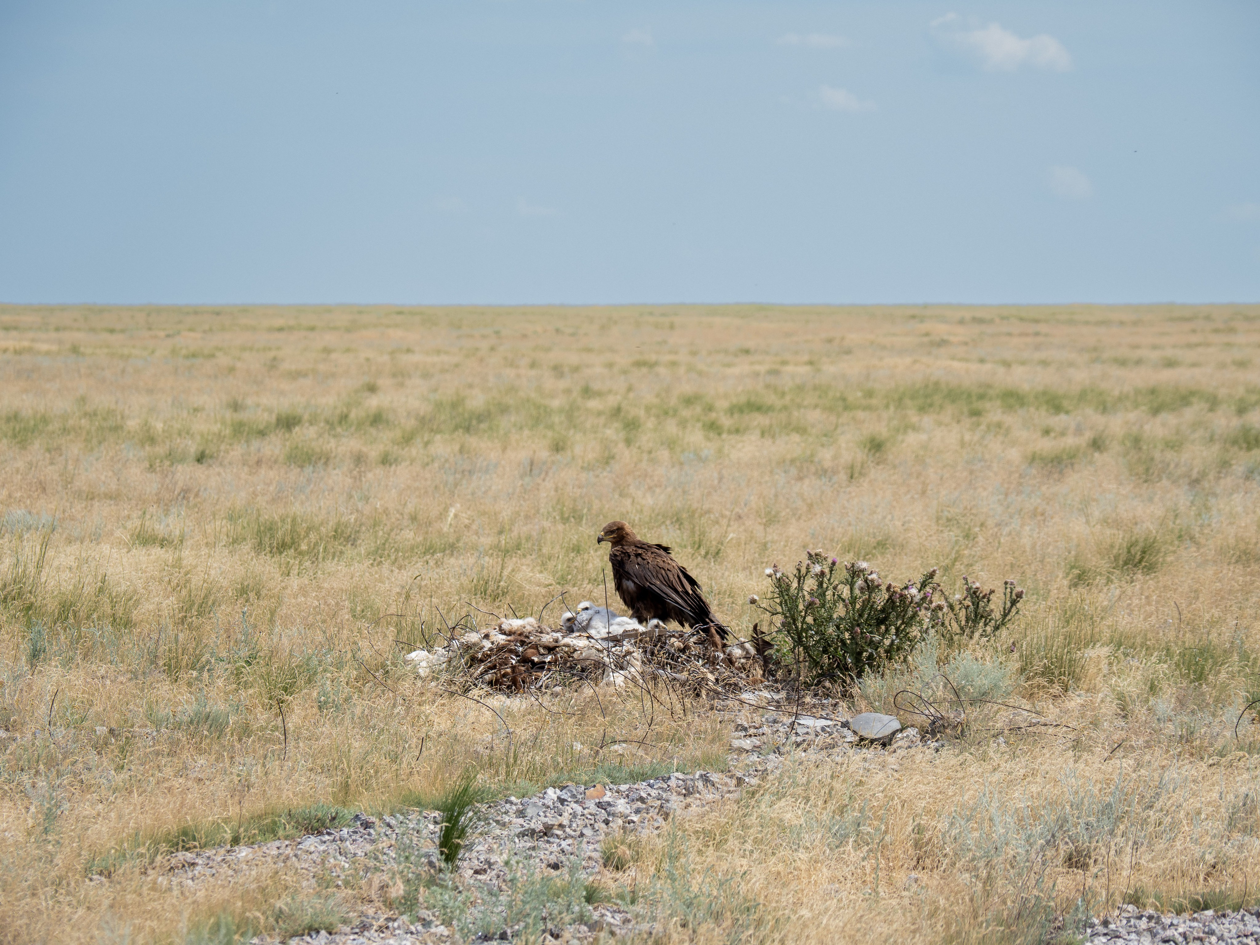 Эльтон 2024. Творческие сьемки
