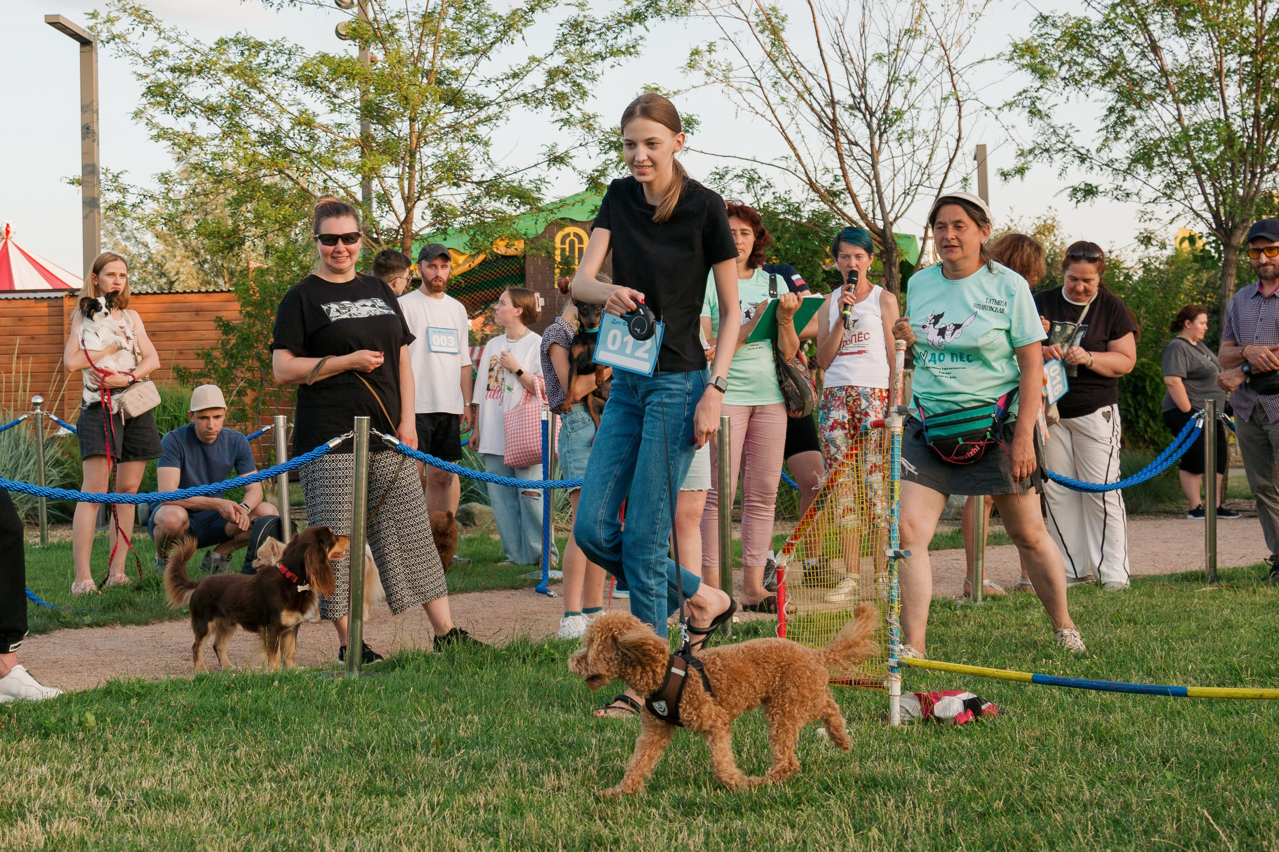 Dog Fest 2024. Главная