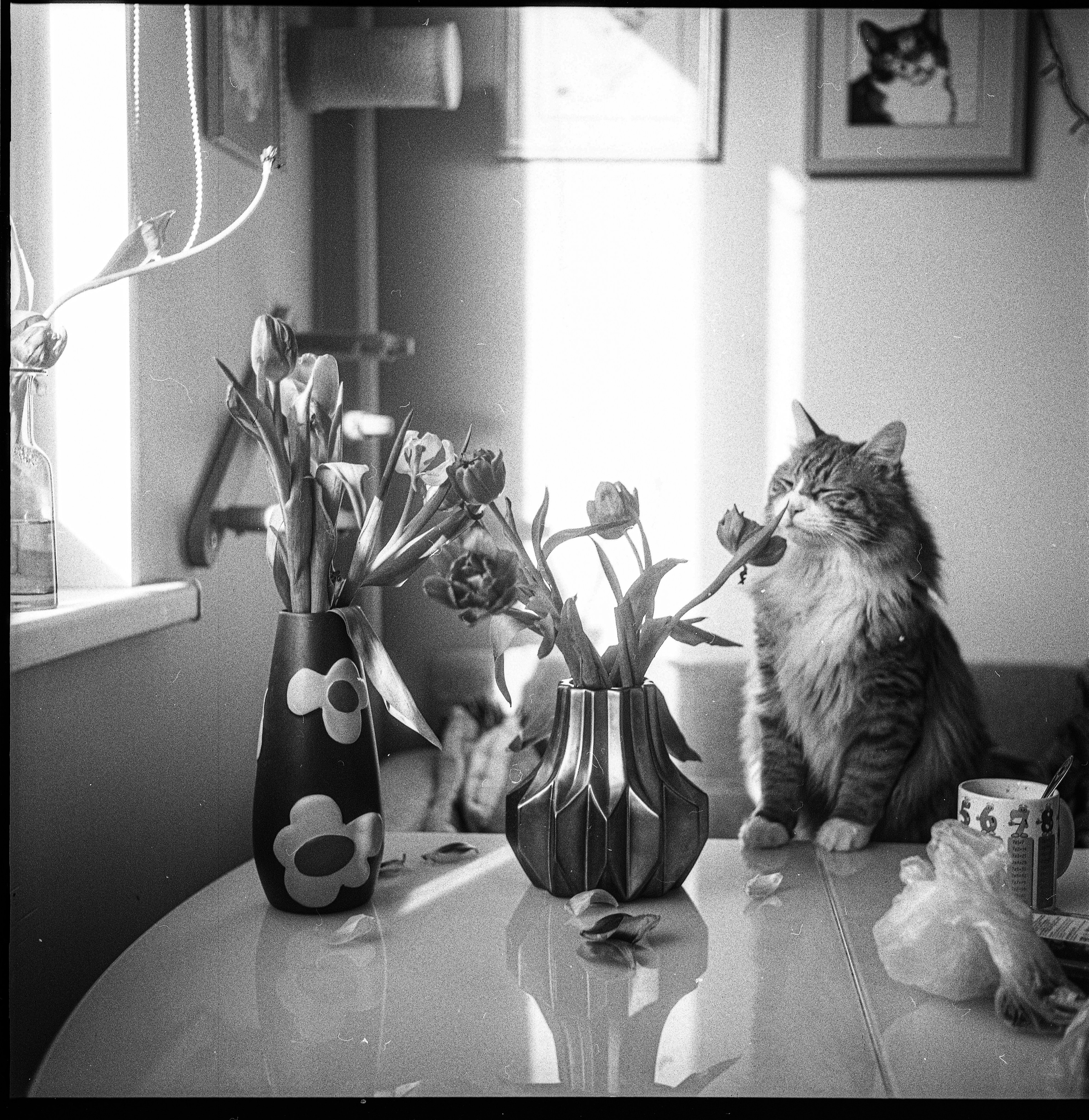 Black-and-white photographs. Artisistic photographs of Lena Sokolova