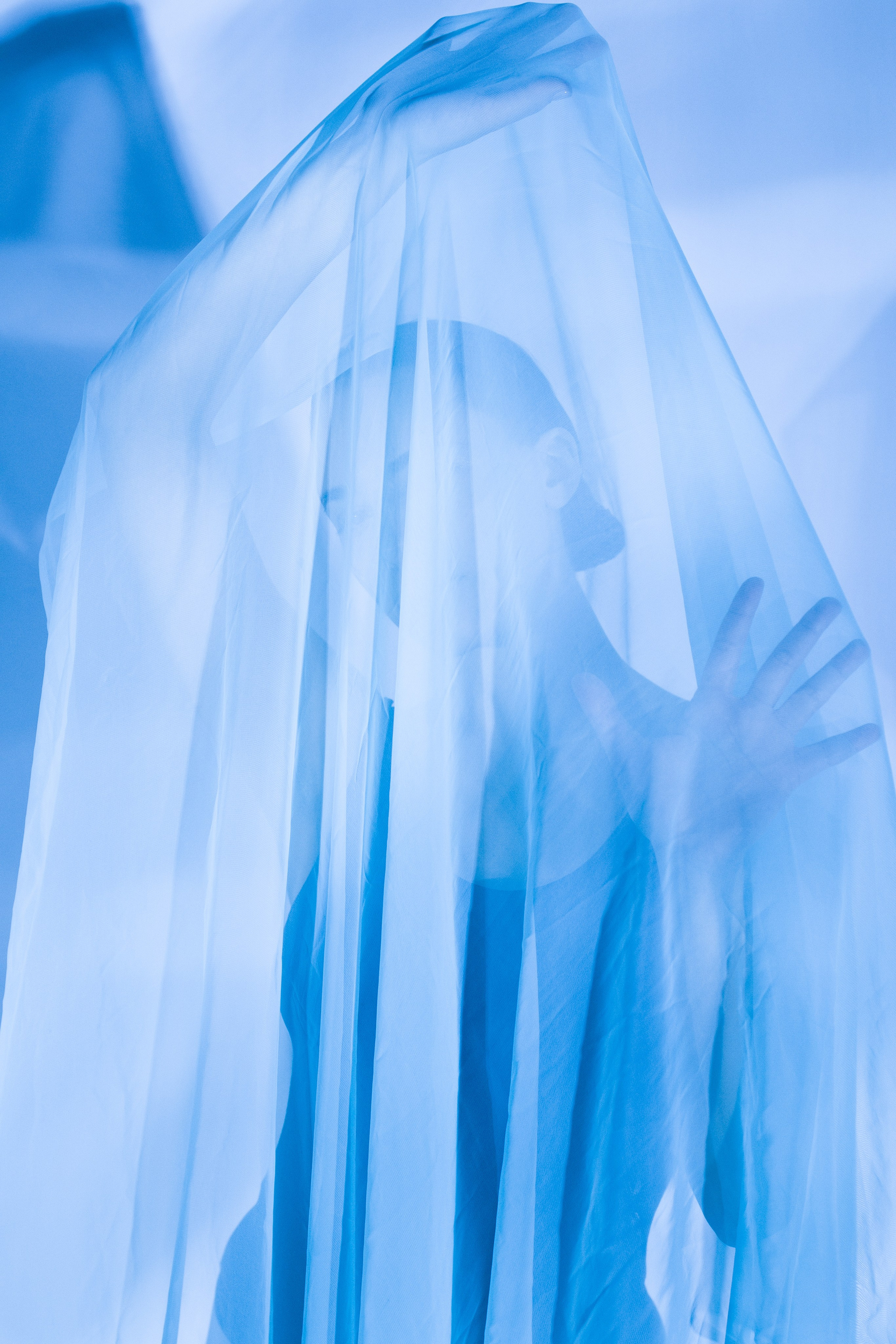 Лилия. Художественная фотография