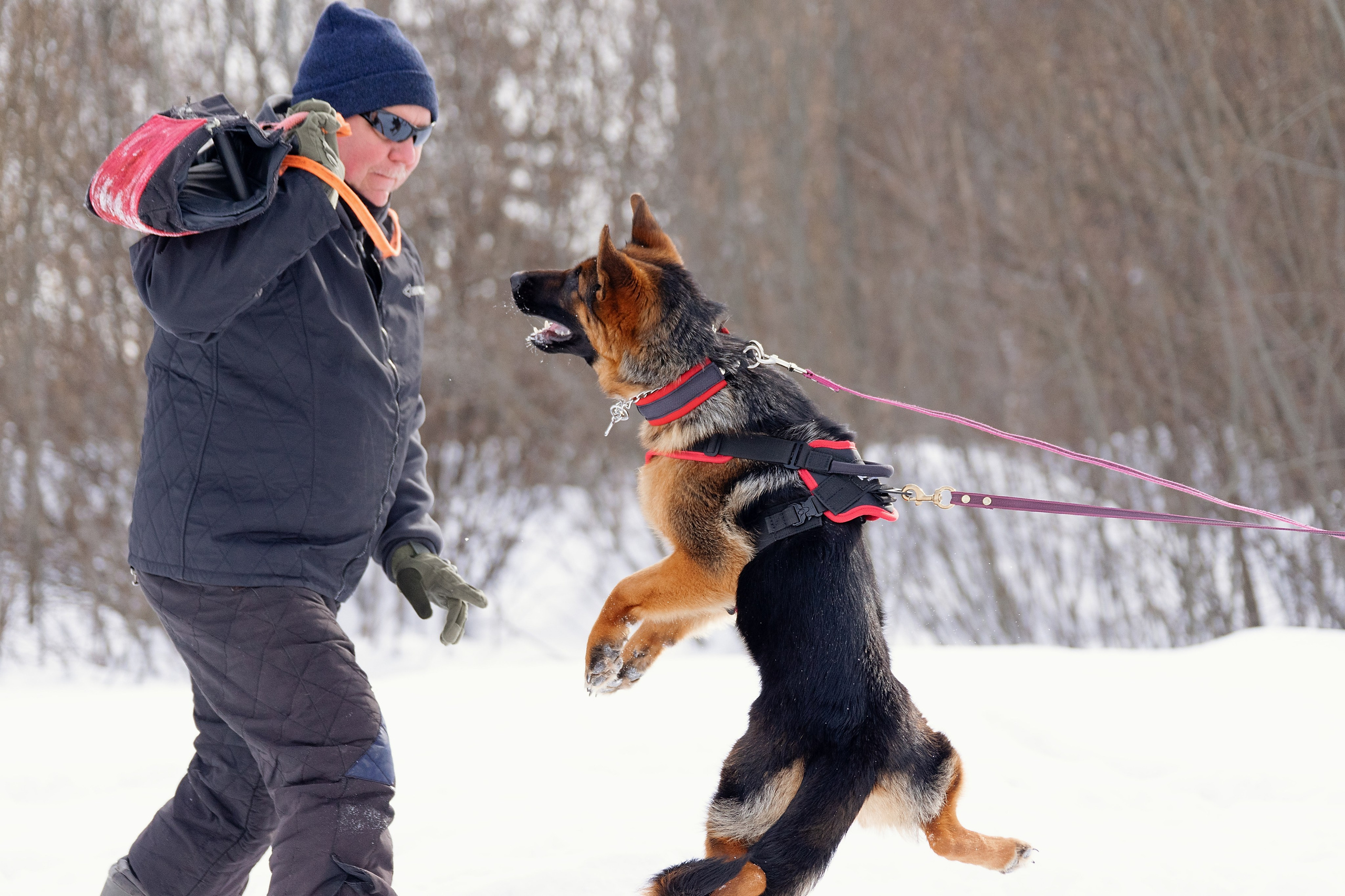 Репортажная съемка. Фотограф-анималист Нижний Новгород