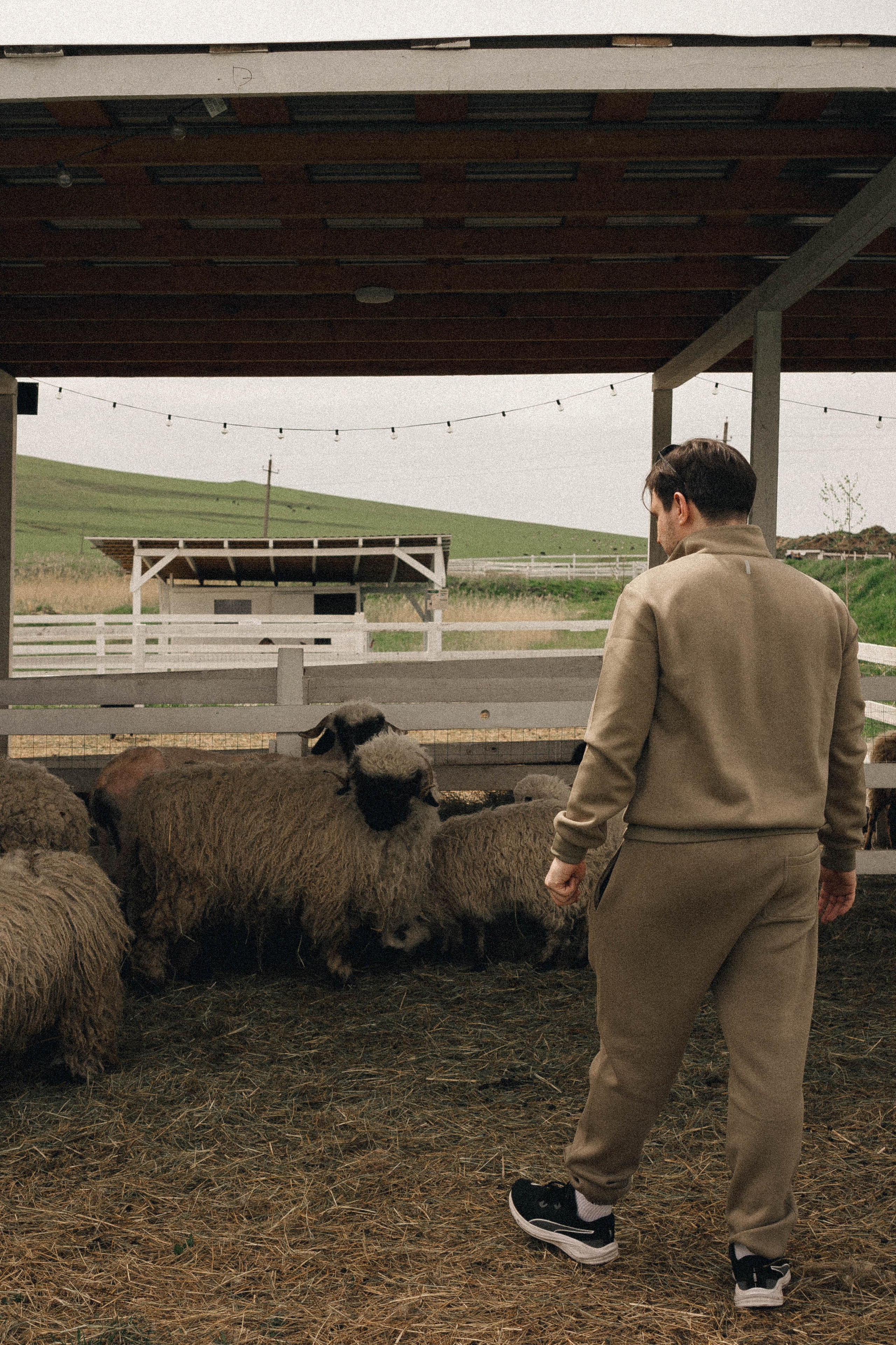 Ферма Альпак. Профессиональный фотограф, Санкт-Петербург — Виктория Богомолова