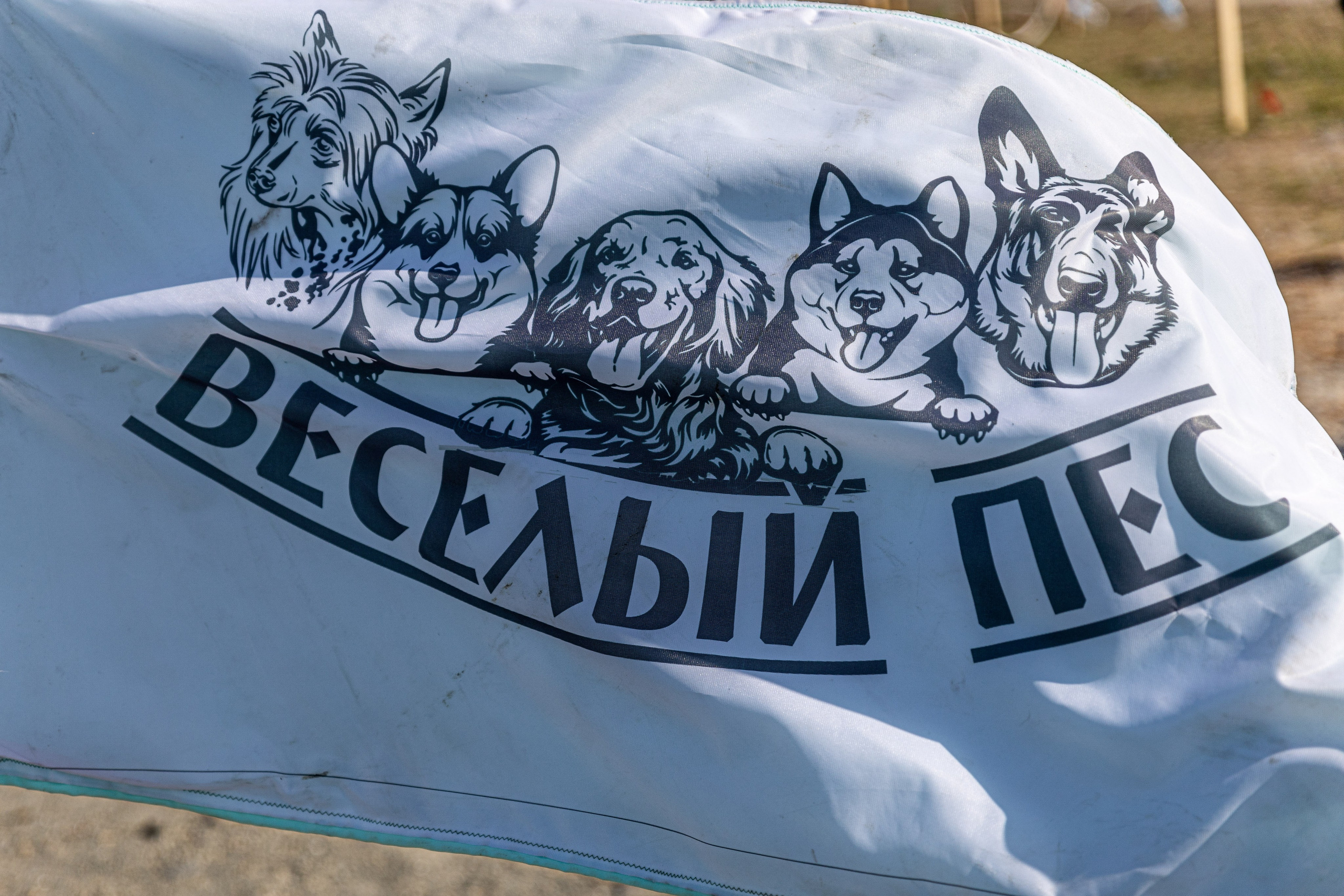 Кинологический квест г. Находка