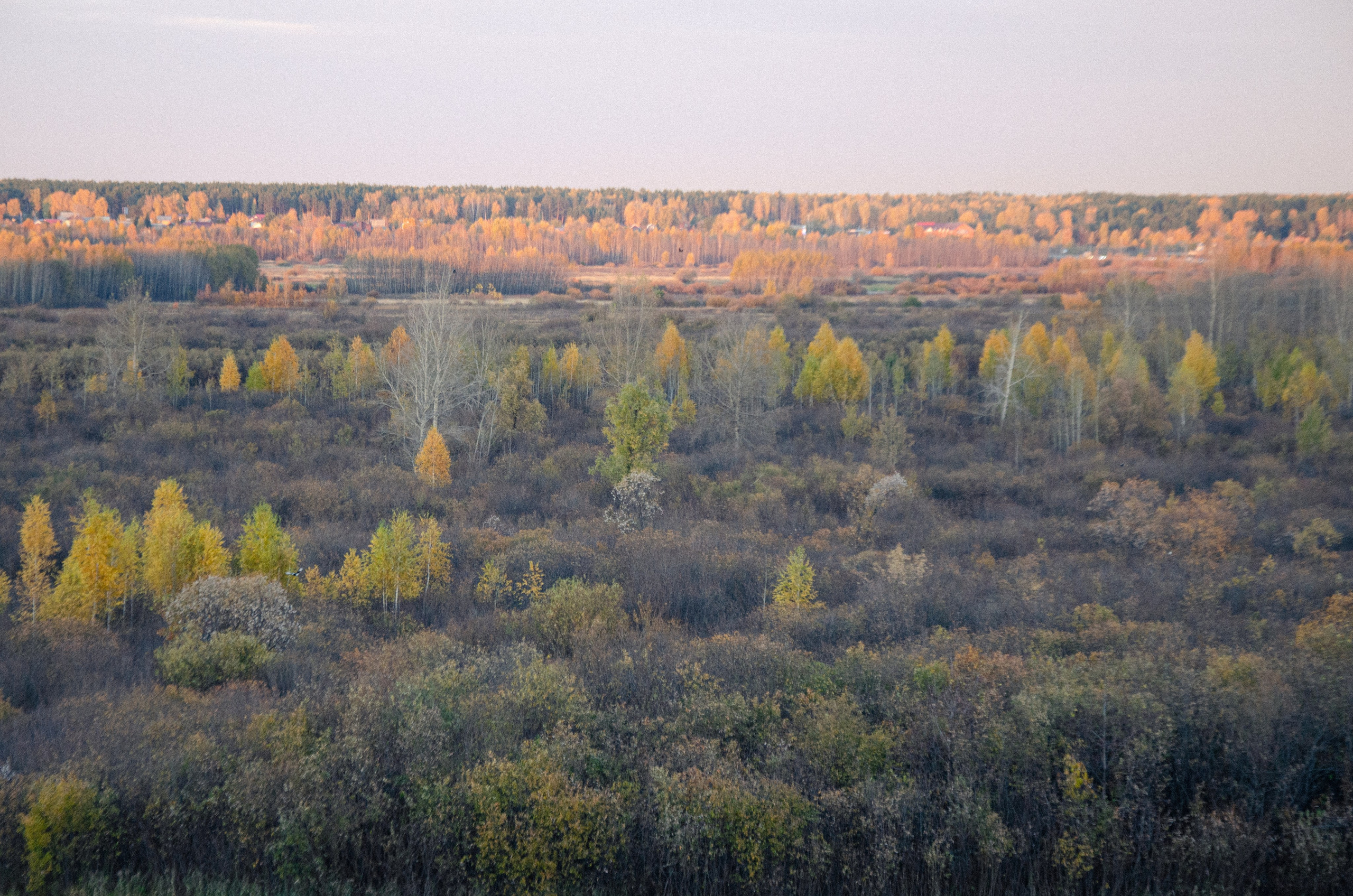 Осенняя фотопрогулка. Фаниса Портретный фотограф в Тюмени