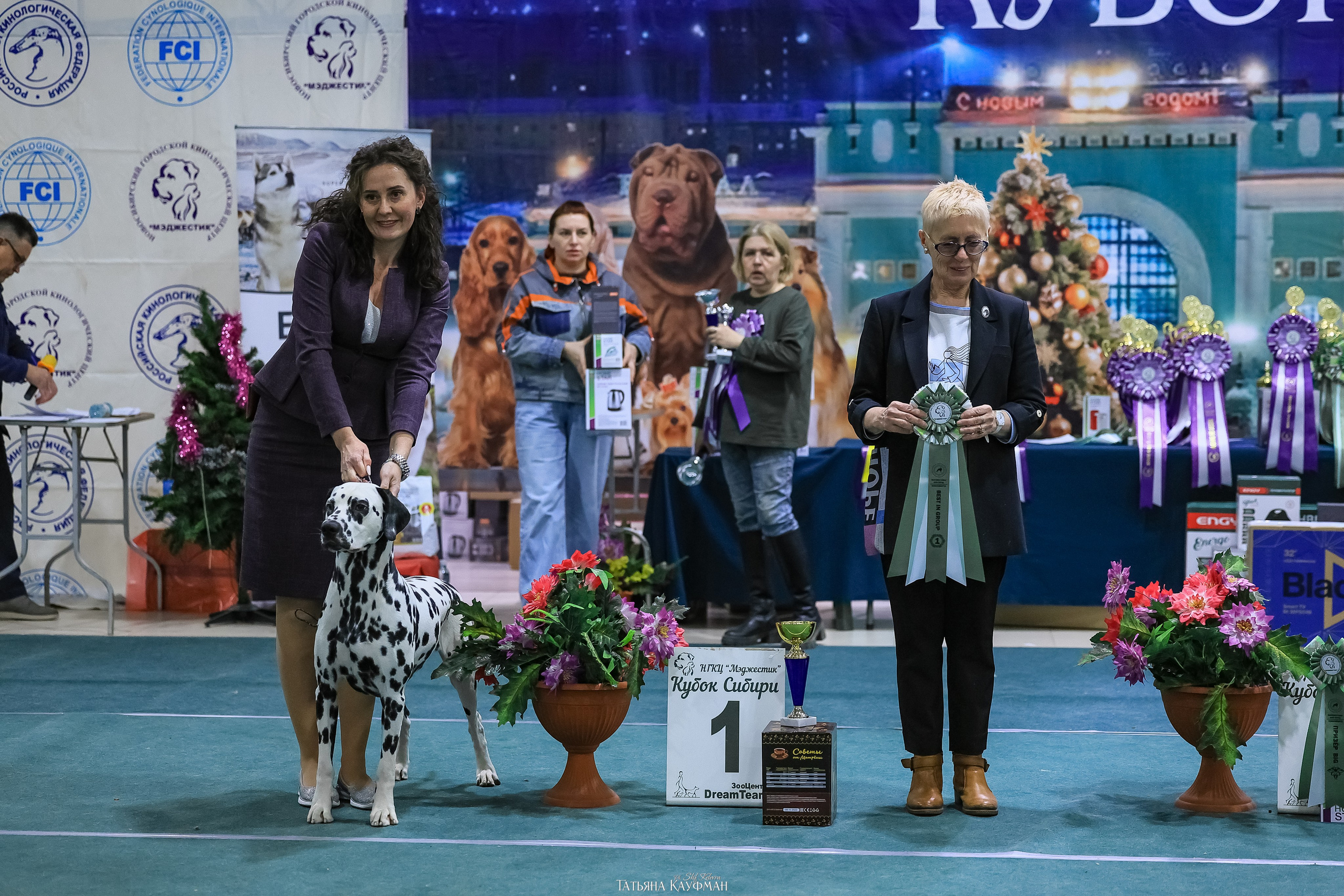 6-7.12.25 — 1-4 Национальные выставки собак в Новосибирске (2х рейтинговые). Фотограф Анималист из Новосибирска Татьяна Кауфман