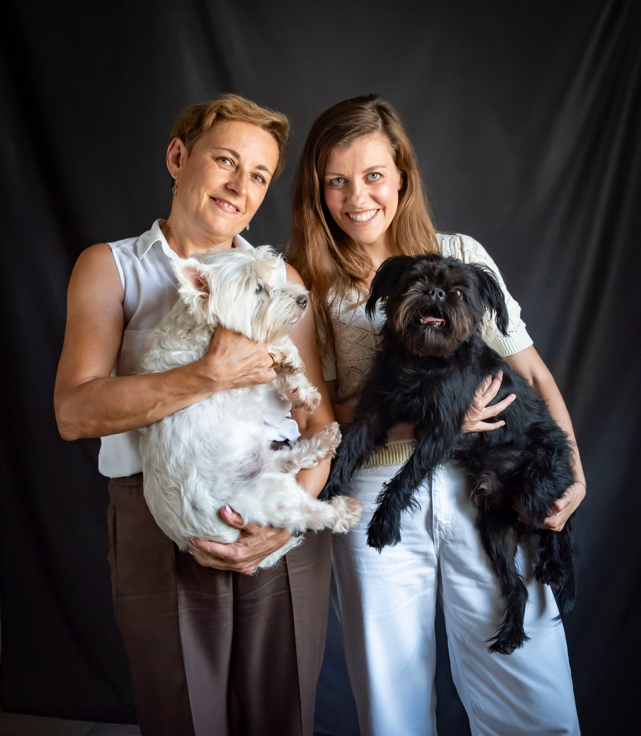 Династии. Главная