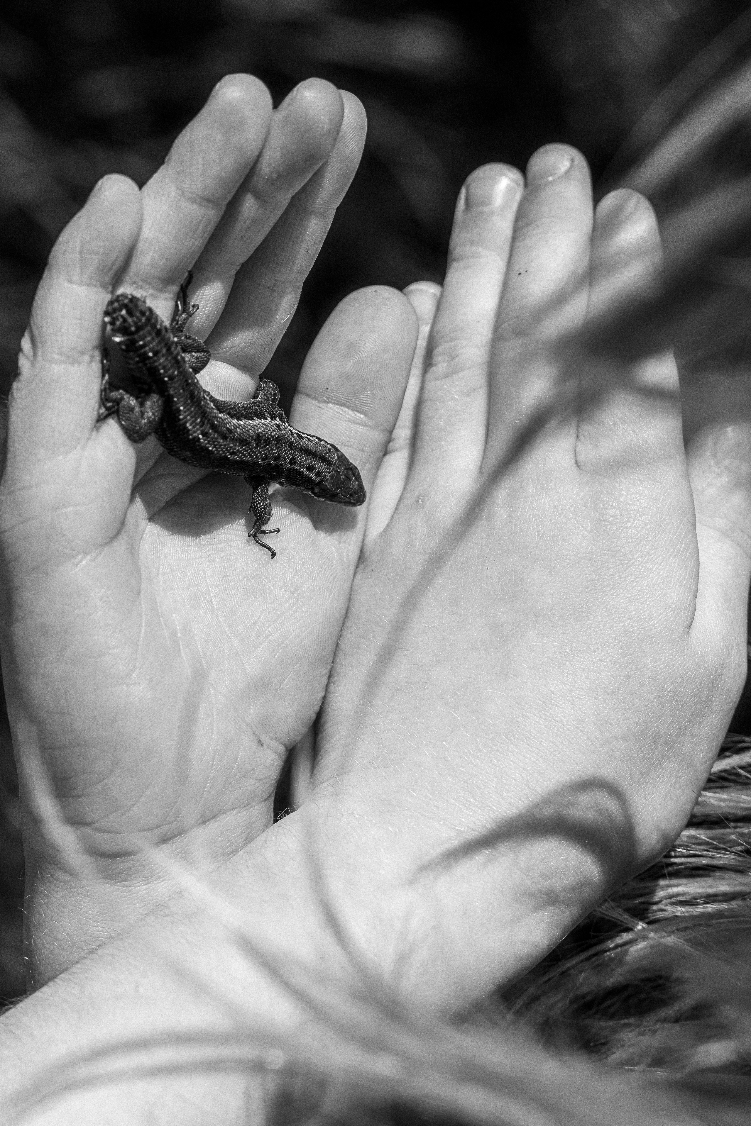 Ч.б. фотографии. Фотографии Лены Соколовой