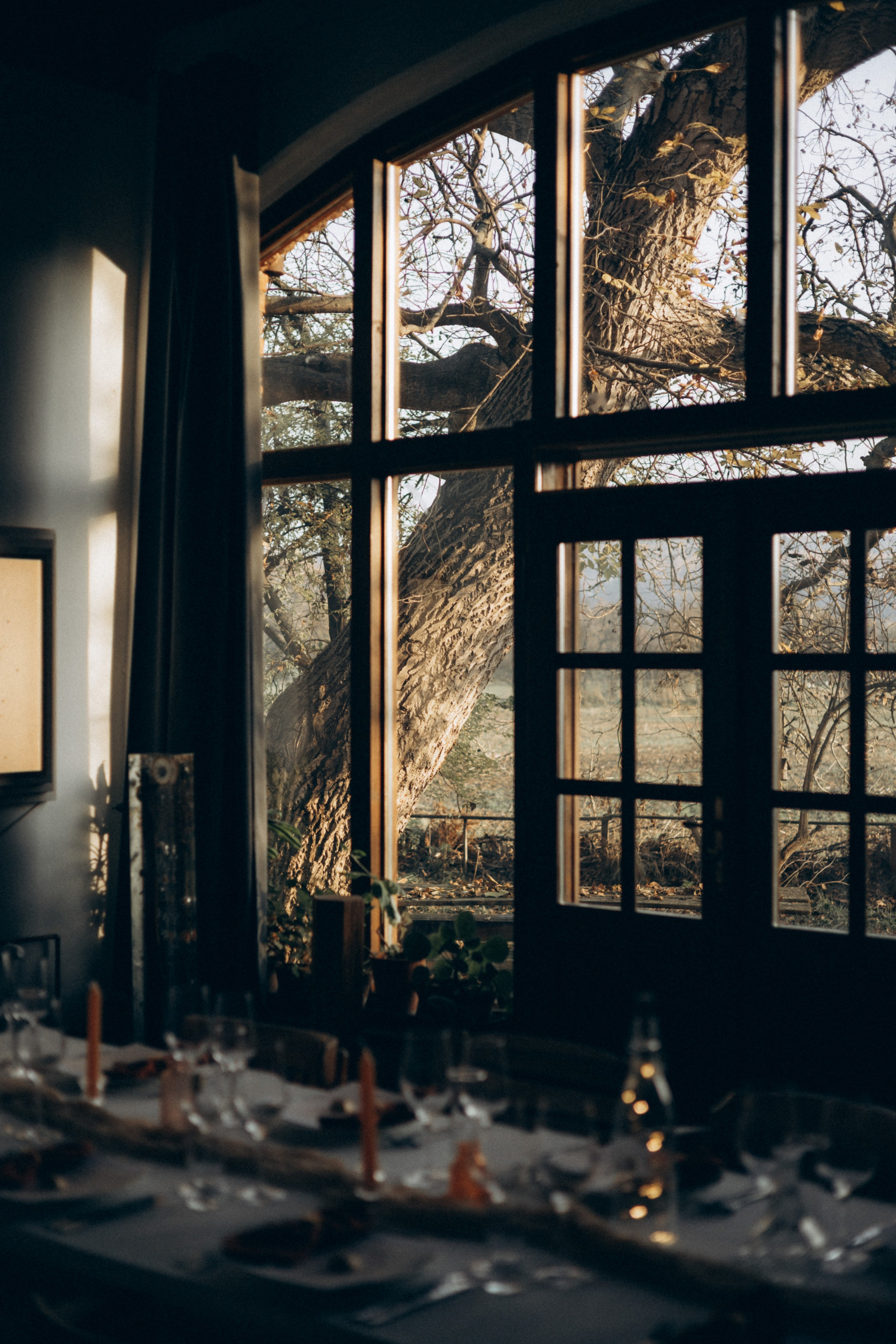 The Hedonist Story | Gastronomic Dinners. Photographer in Prague Alexander Pivovarov