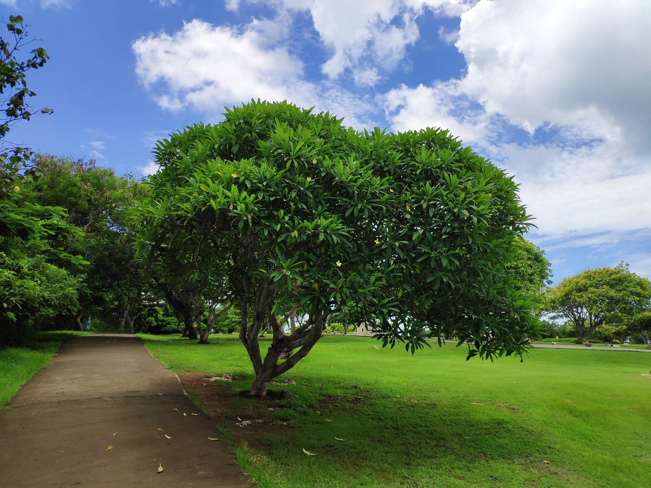Indonesia (Bali Island). Фотограф Алексей Федорищев