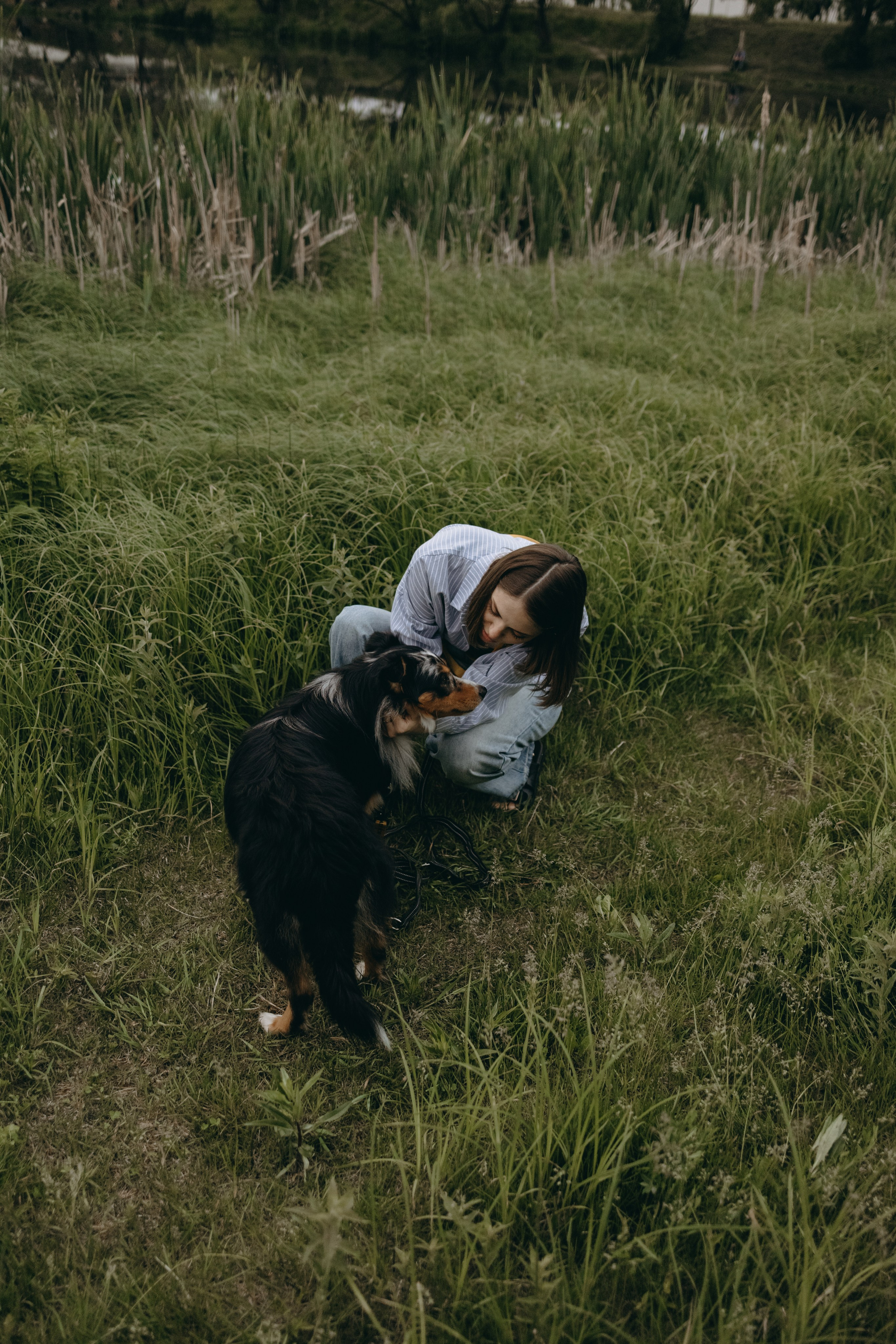 Настя, Никита и их Гром и Мяу. Фотограф — Анималист | Санкт-Петербург