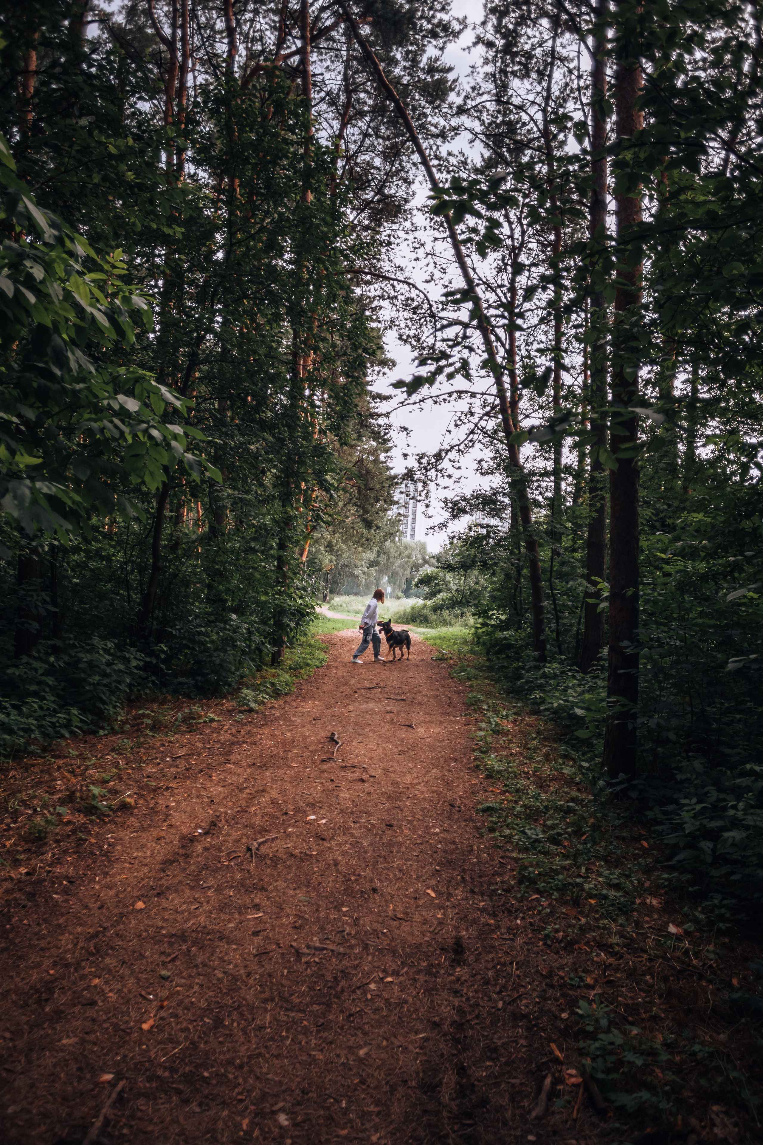 Лесная летняя фотопрогулка. Фотограф-анималист Татьяна Степанова