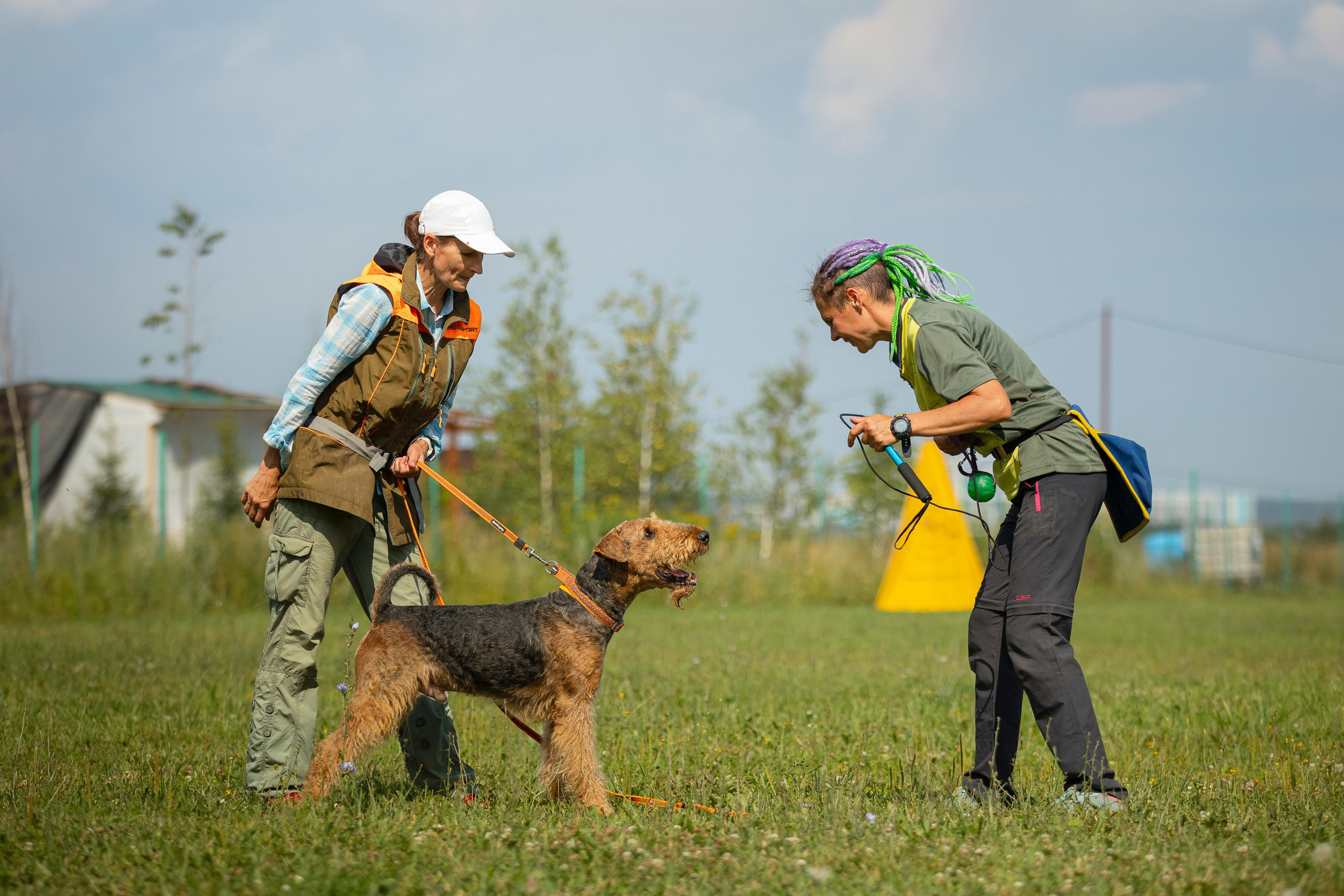 ЗКС. Фотограф анималист, семейный фотограф, фотограф собак Комратова Мария. г. Москва