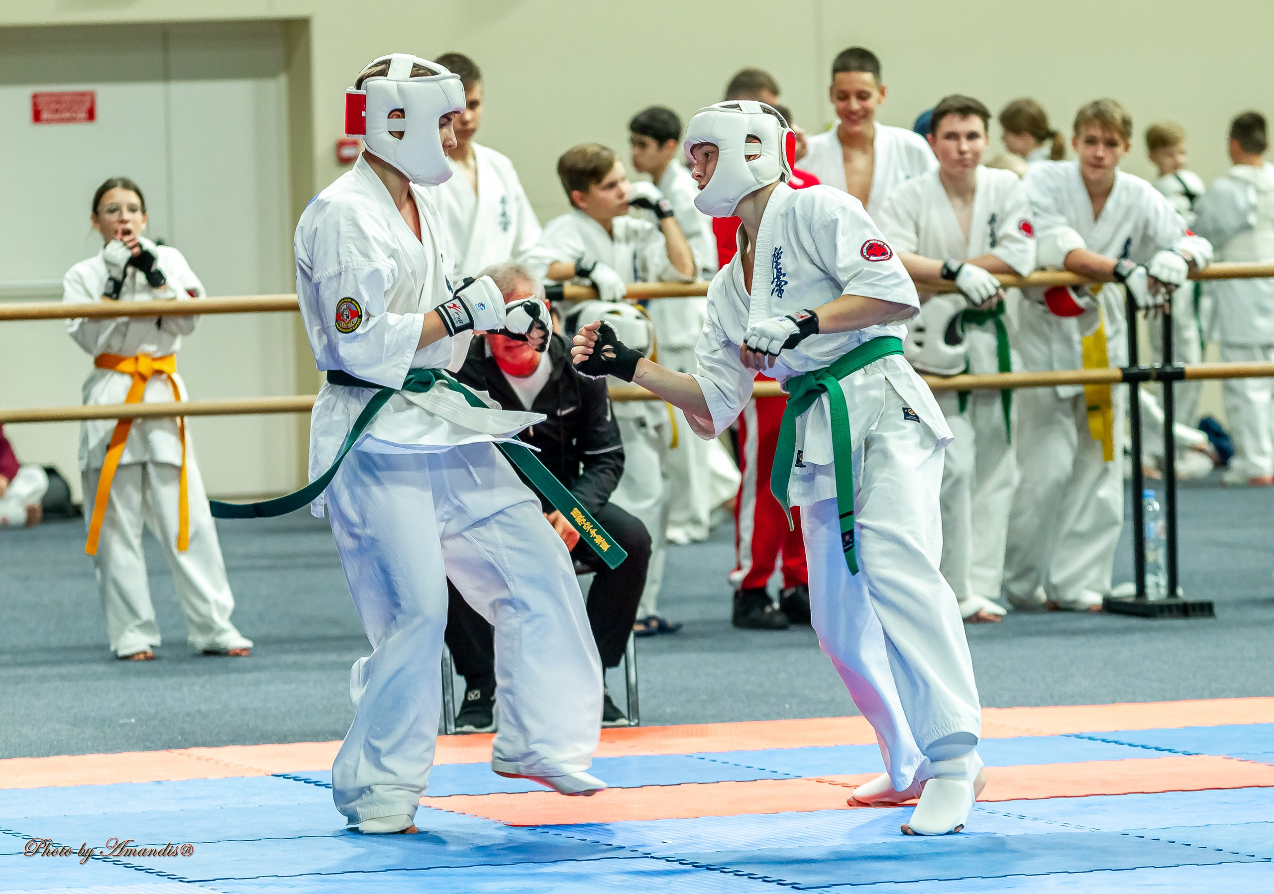 Первенство Московской области по Киокушин в СК «Жаворонки». Репортажная съемка в Москве и области. Анималистика